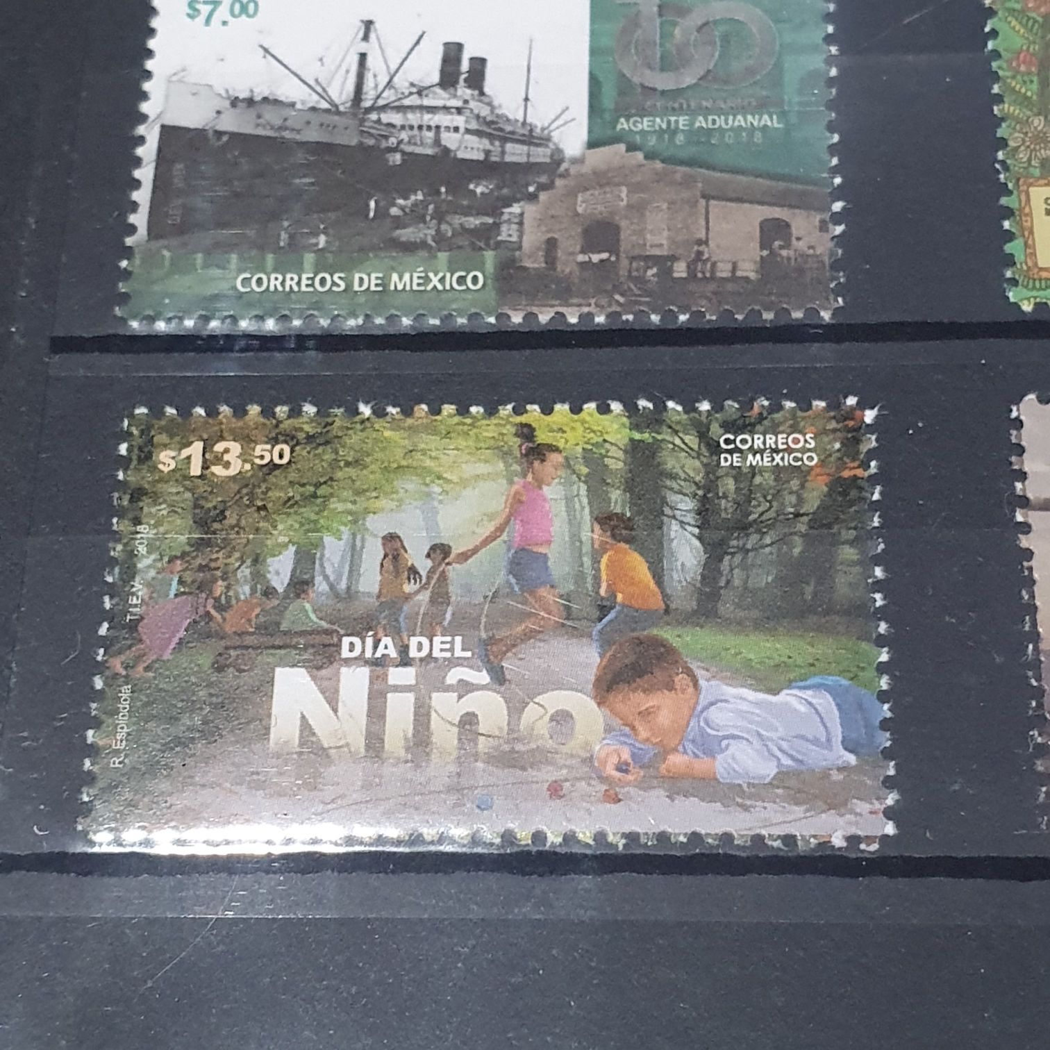 Fiesta De La Candelaria