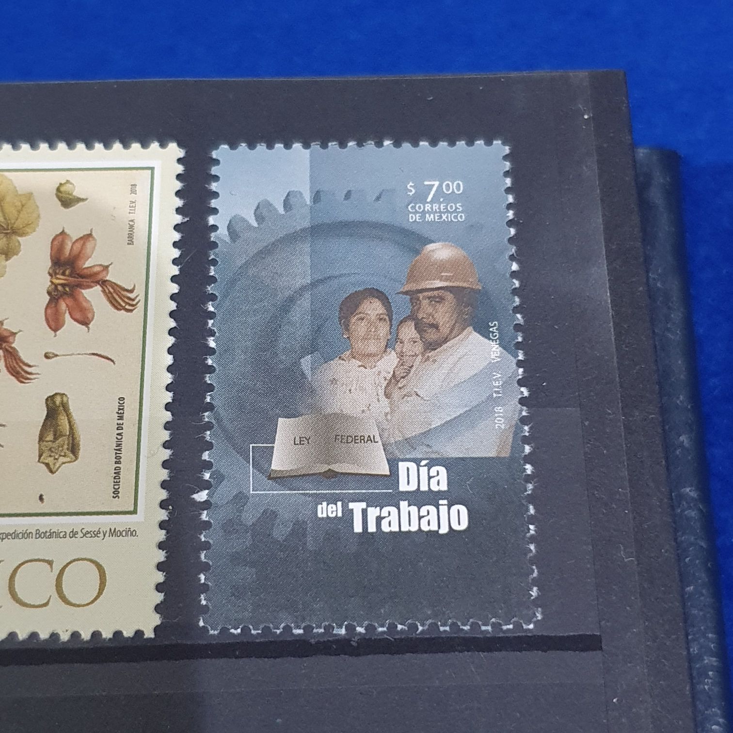 The First Royal Wedding Anniversary