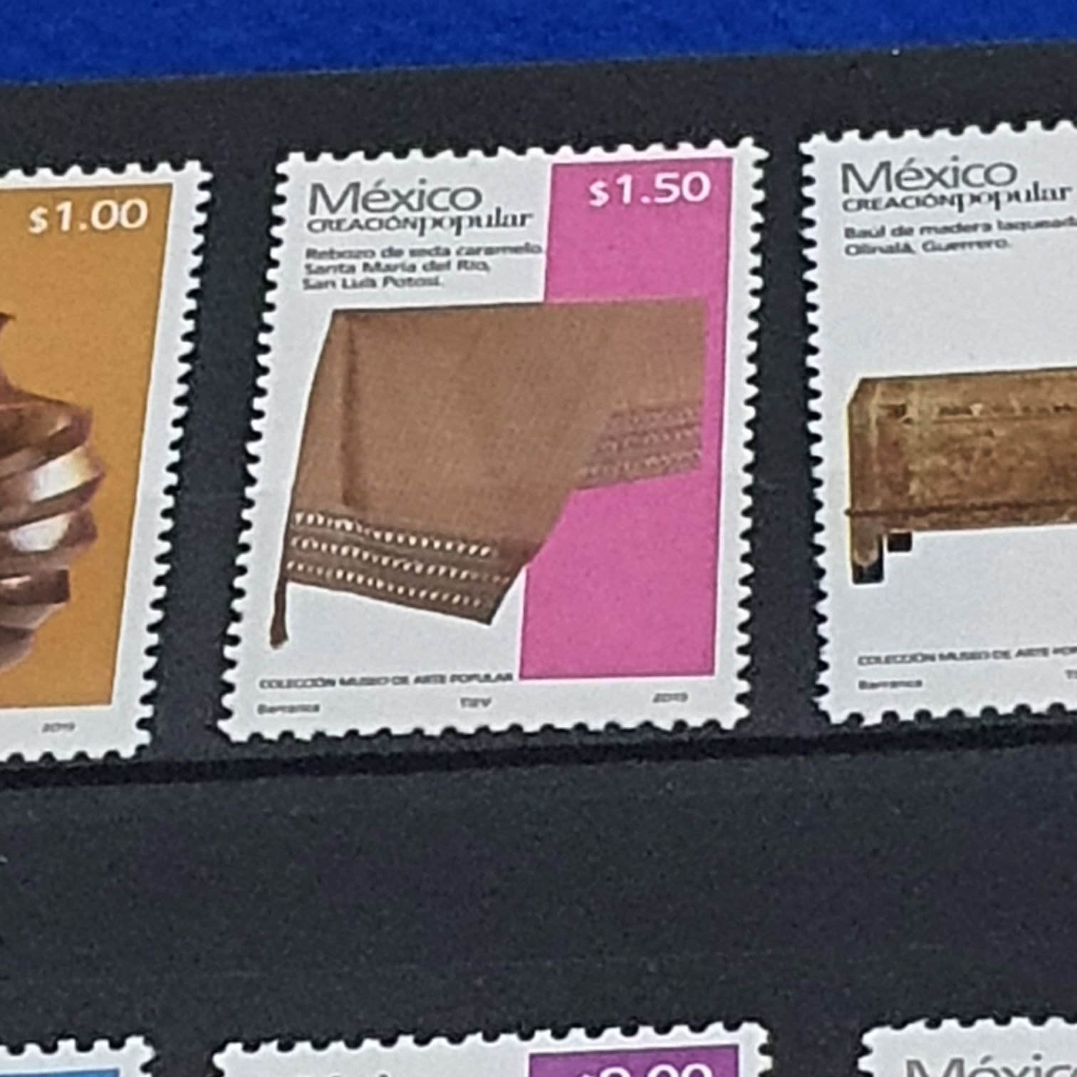 Cetaceos De Chile En Cites