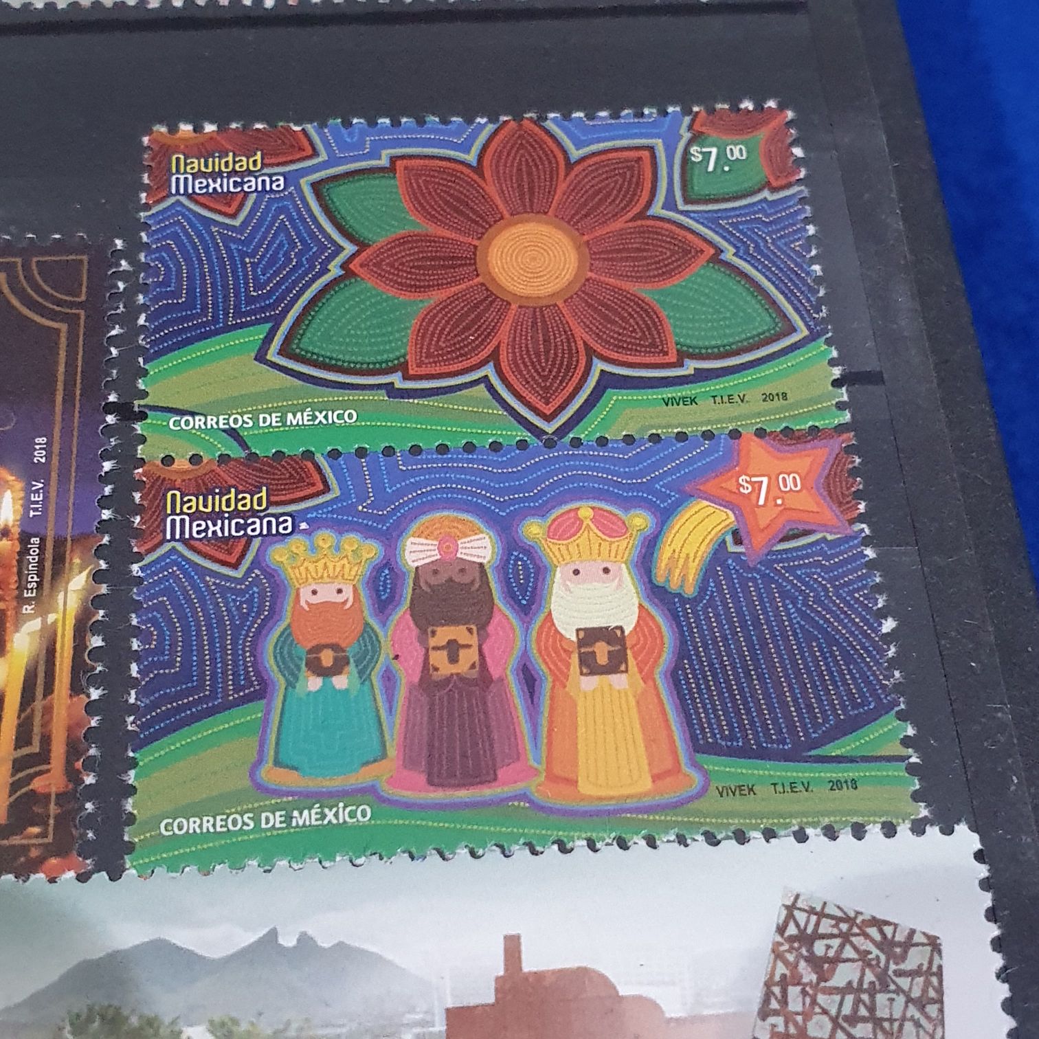 Precursora De Los Derechos De La Mujer En México