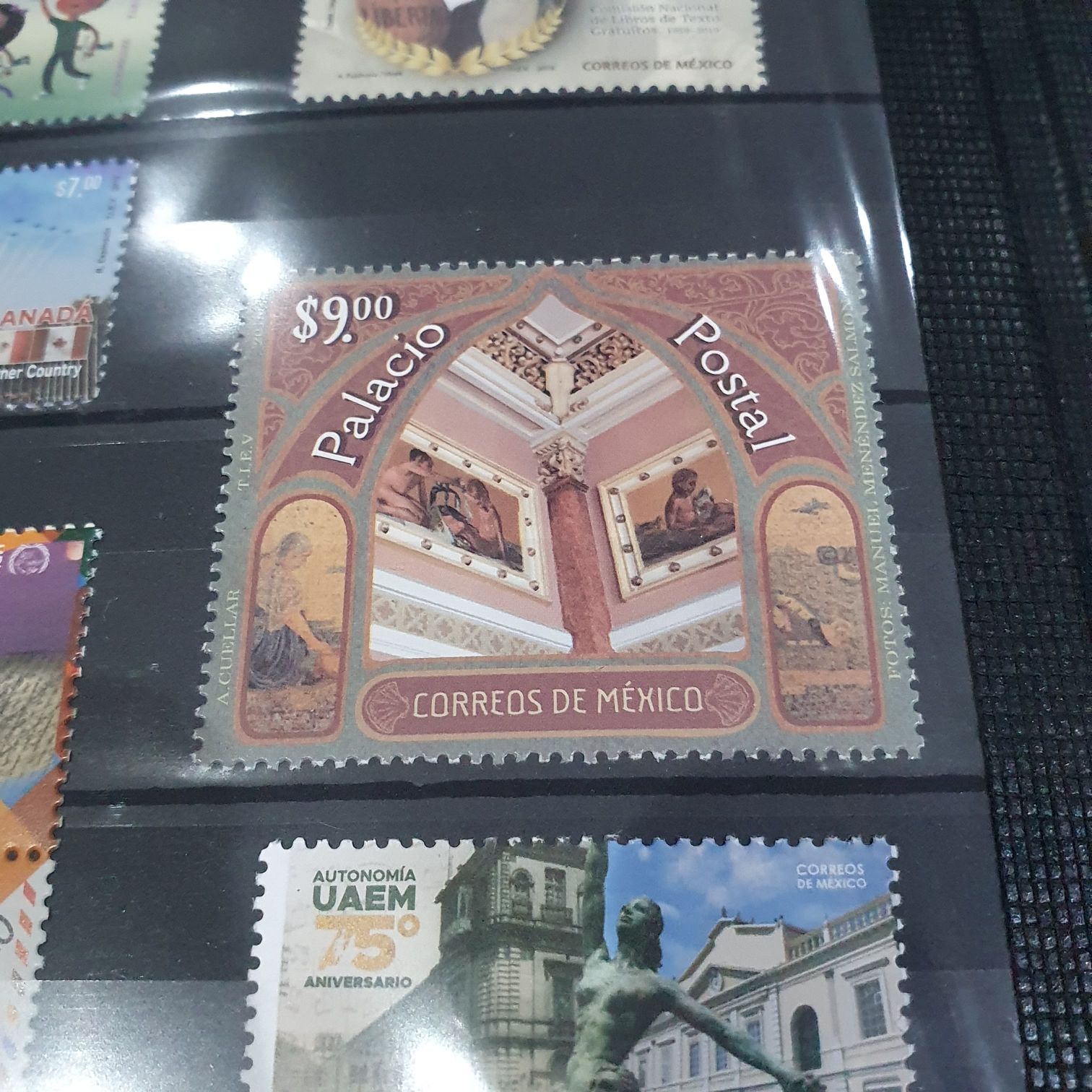 México Conserva Reptiles