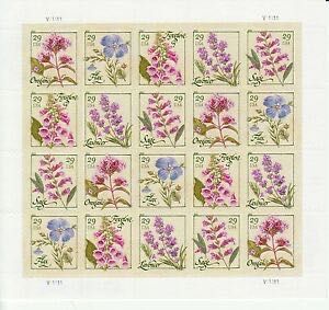 4529 Purple Heart [FOREVER]