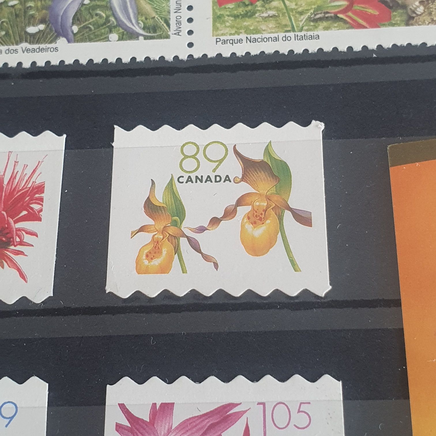 En Conmemoración De La Primer Olimpiada Bolivariana