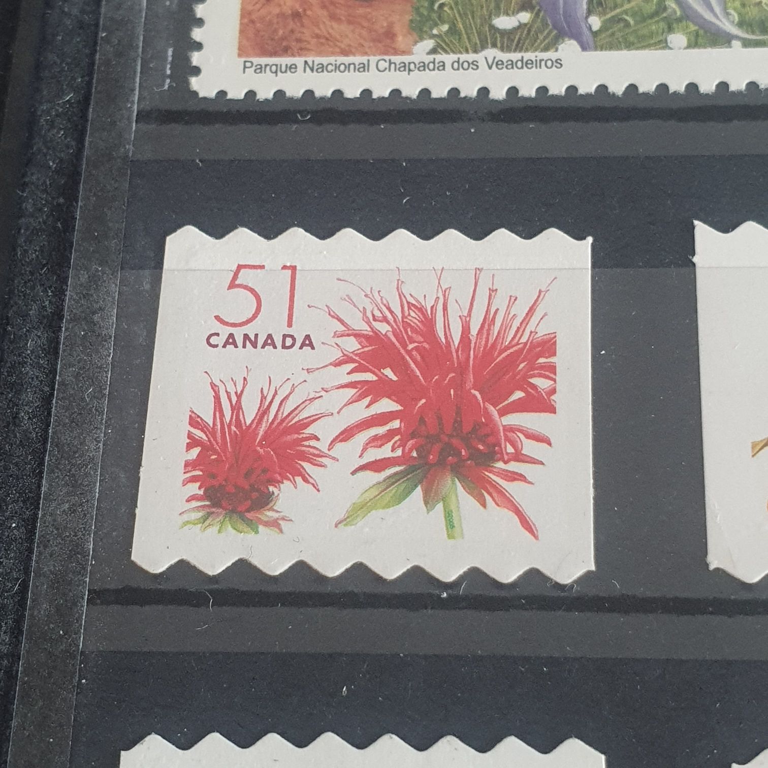 México Conserva Ríos