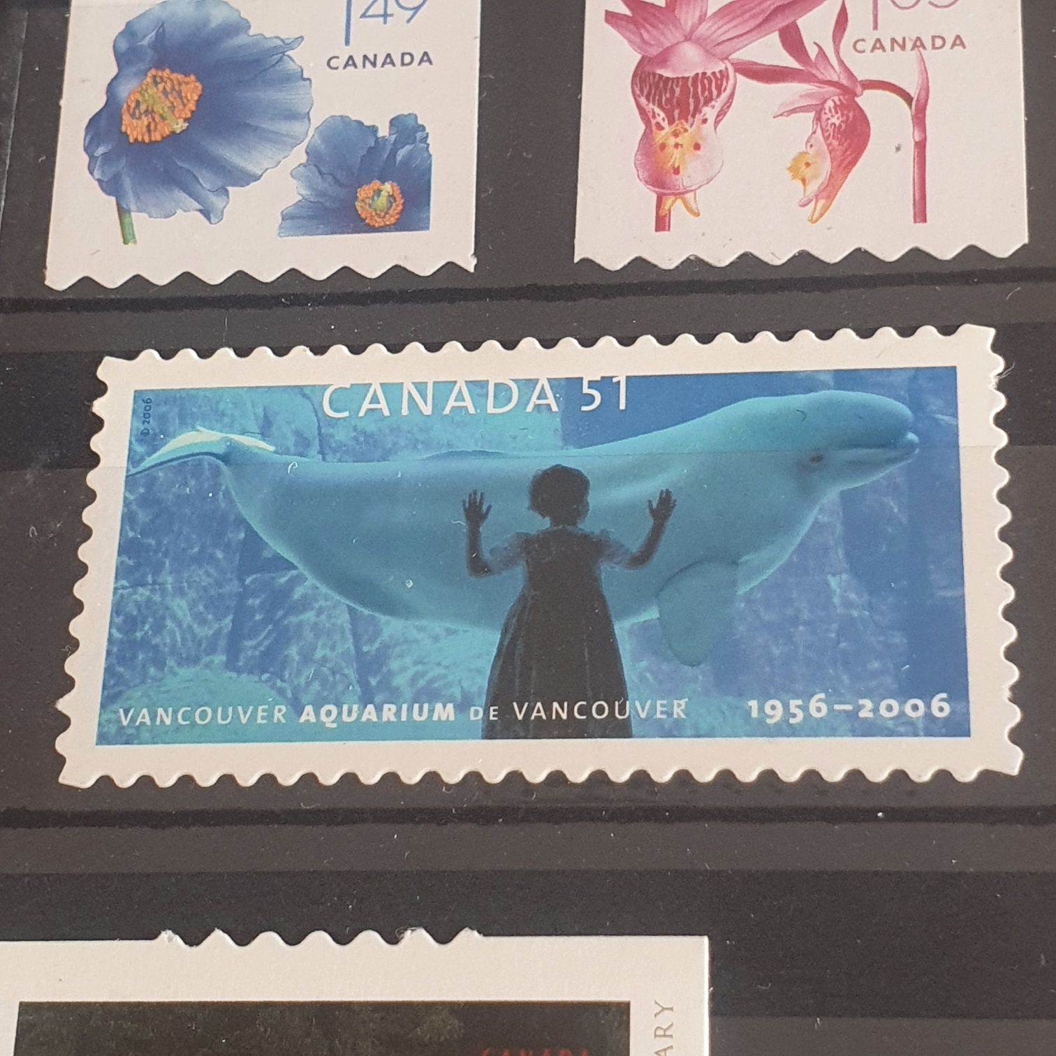 Unidos Para La Conservación