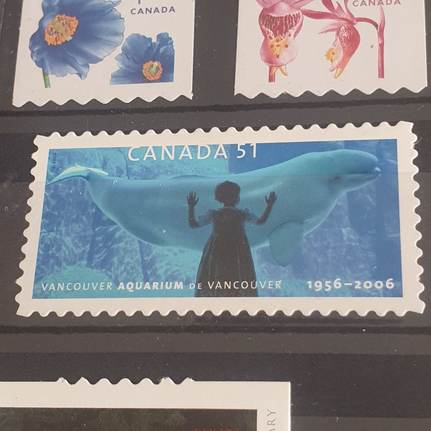 Canada: 2006 Vancouver Aquarium First Day Cover  stamp collectible - Main Image 2