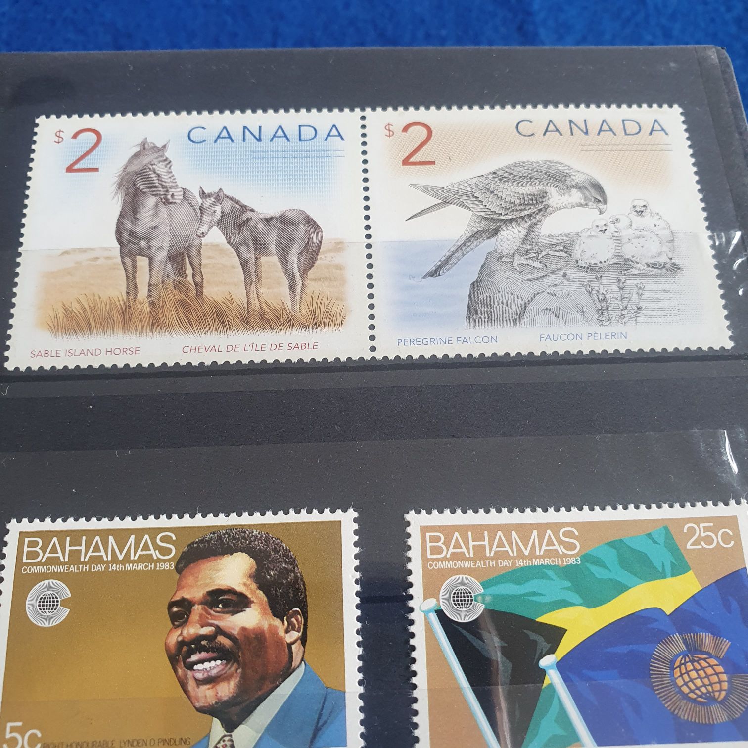Sable Island Horse  stamp collectible - Main Image 2