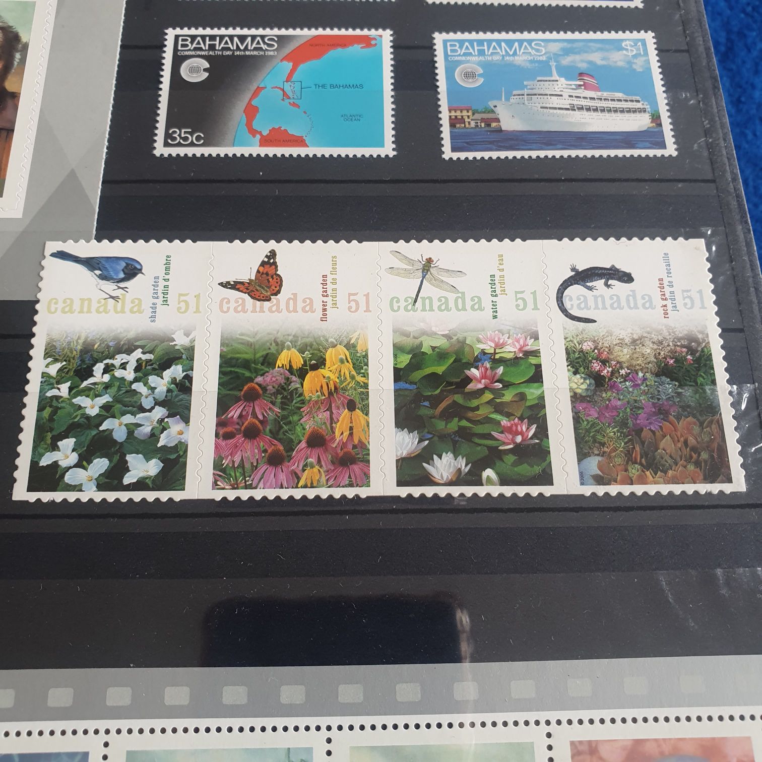 Happy Birthday Gorgeous