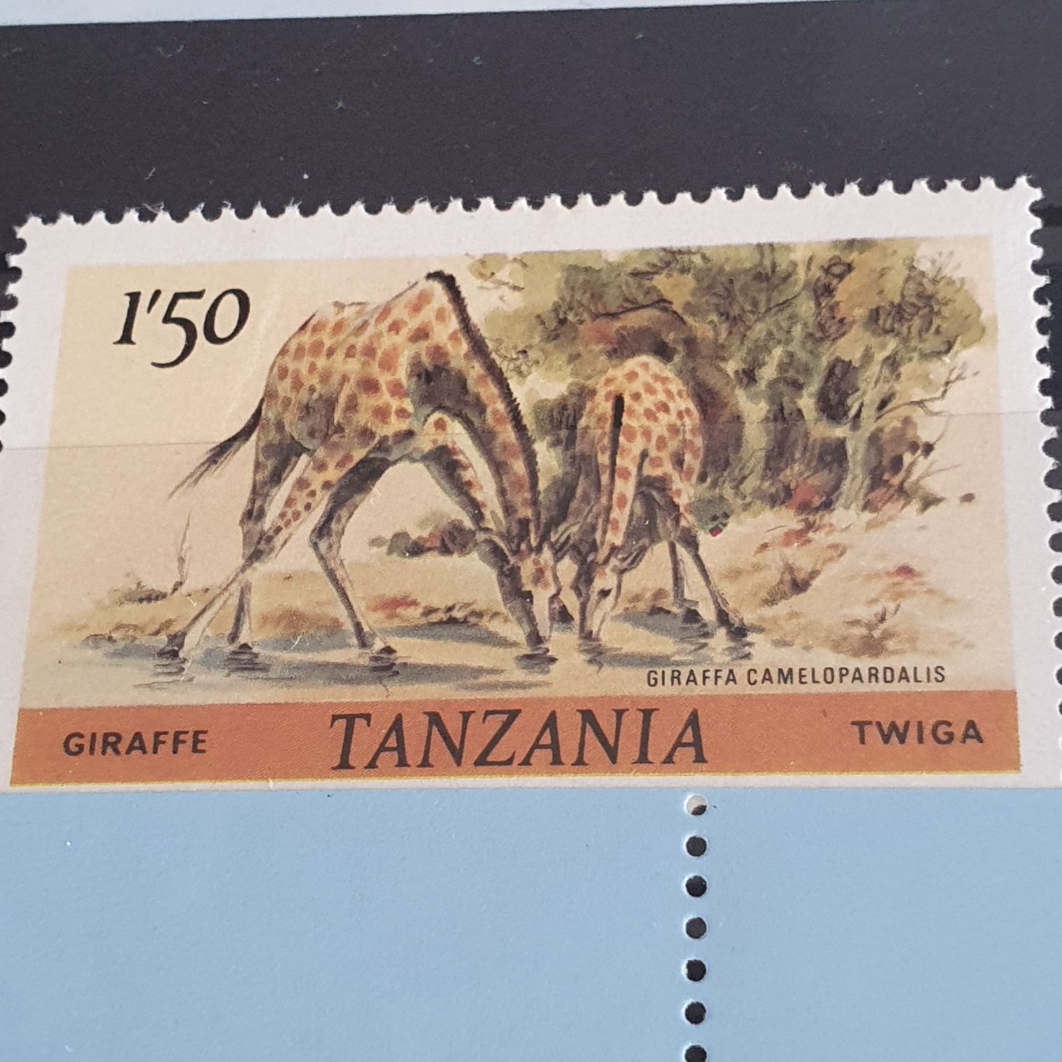 Tanzania: 1986 Giraffe  stamp collectible - Main Image 2