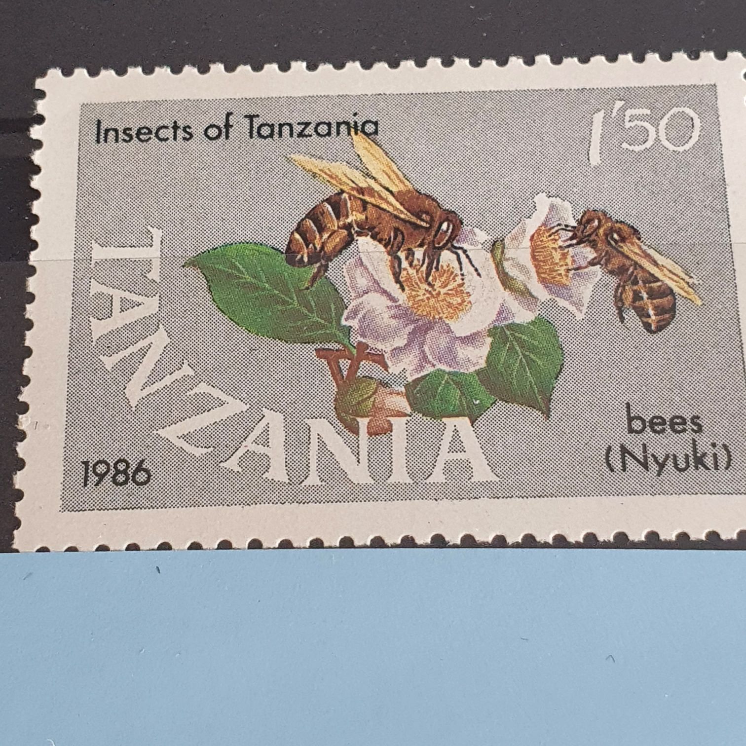 Insects Of Tanzania  stamp collectible - Main Image 2