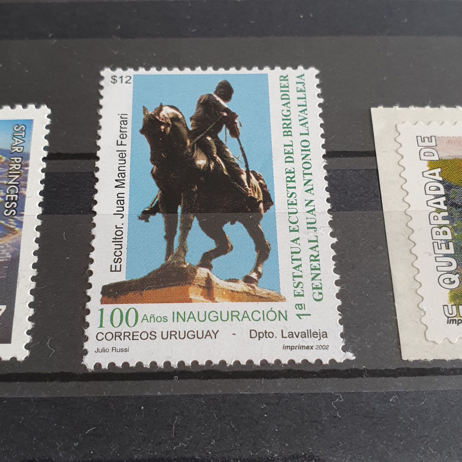 Brown Banded Anteater Numbat