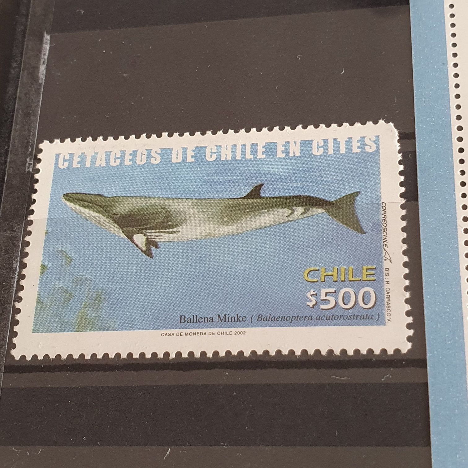 Cetaceos De Chile En Cites  stamp collectible - Main Image 2