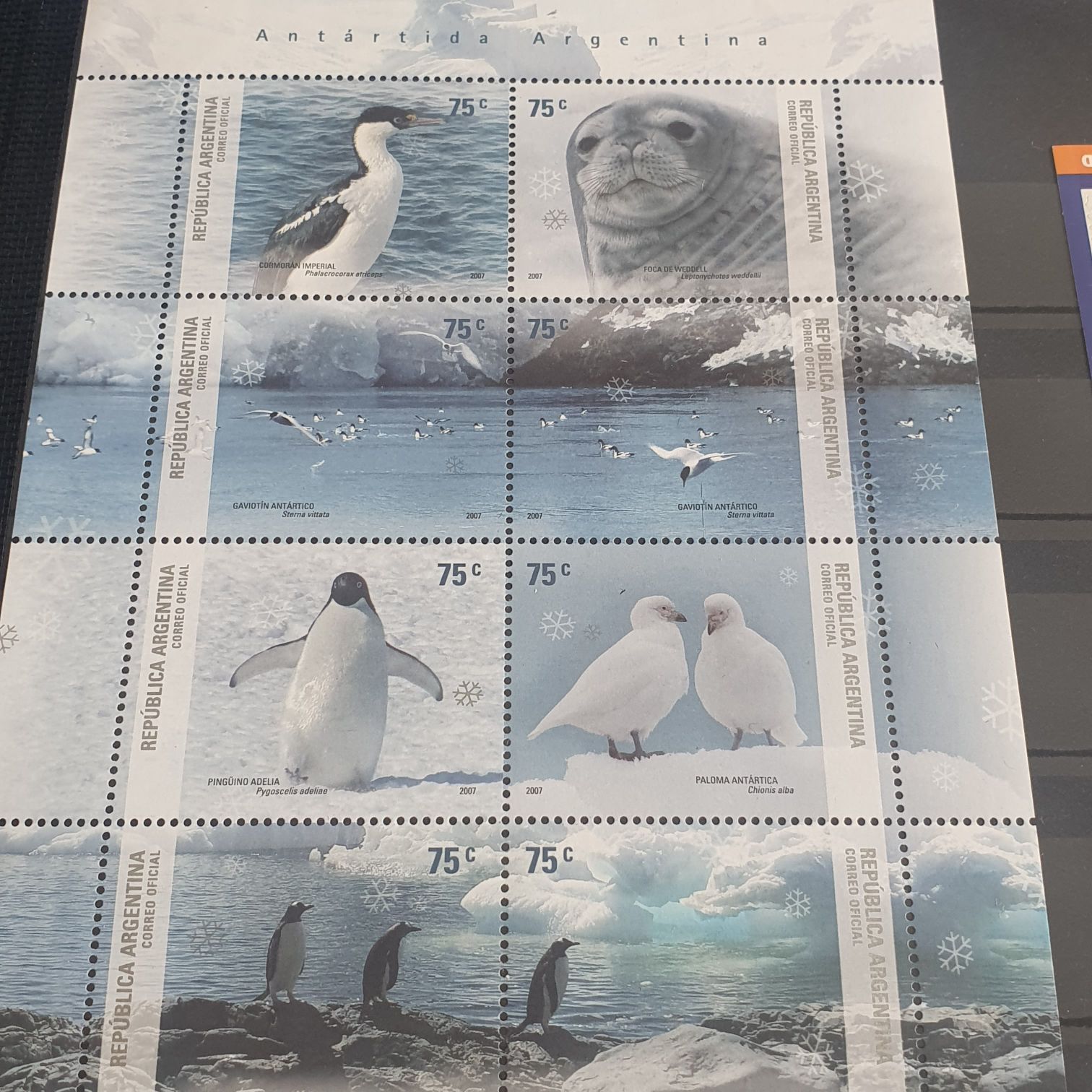 México Creación Popular