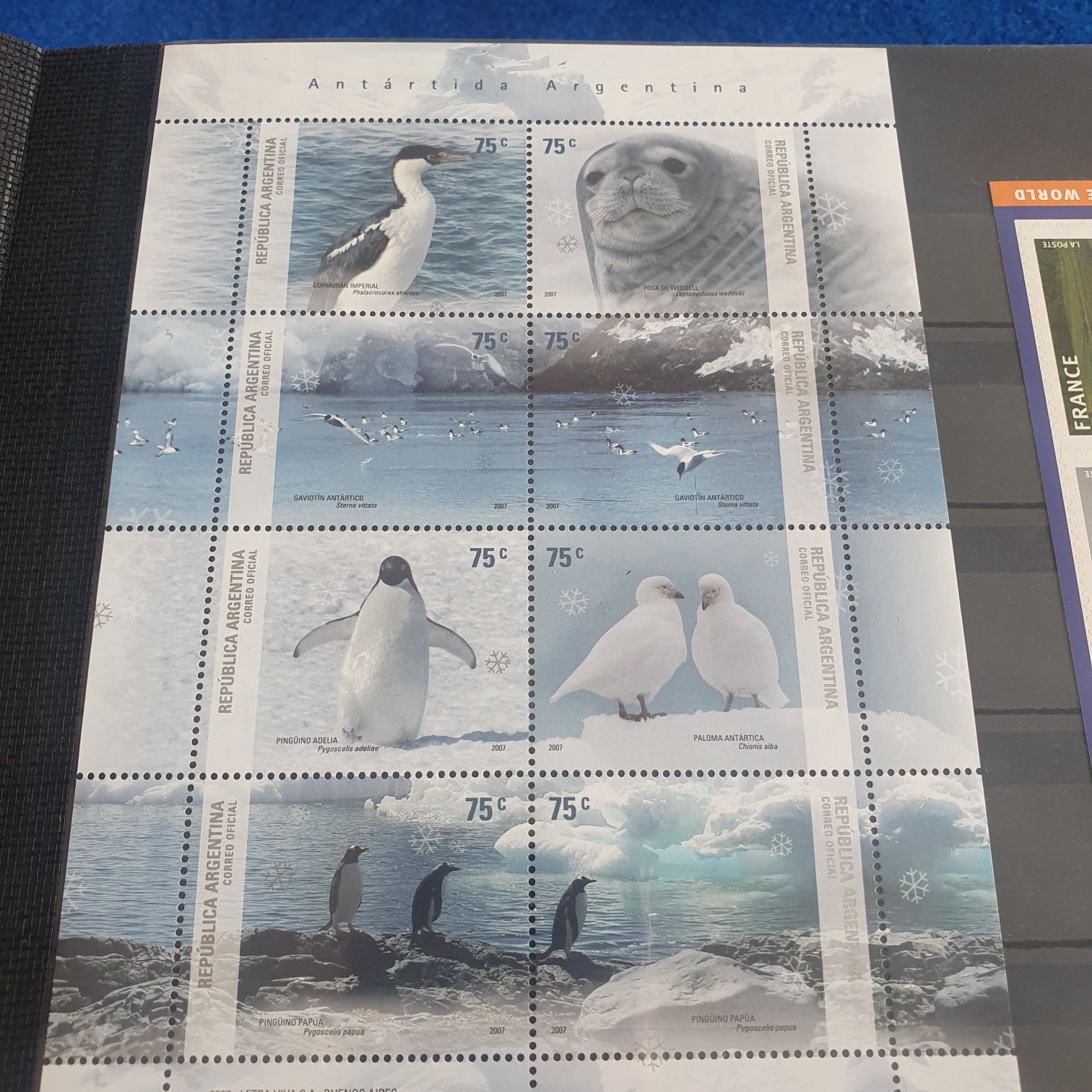 Antartida Argentina  stamp collectible - Main Image 2