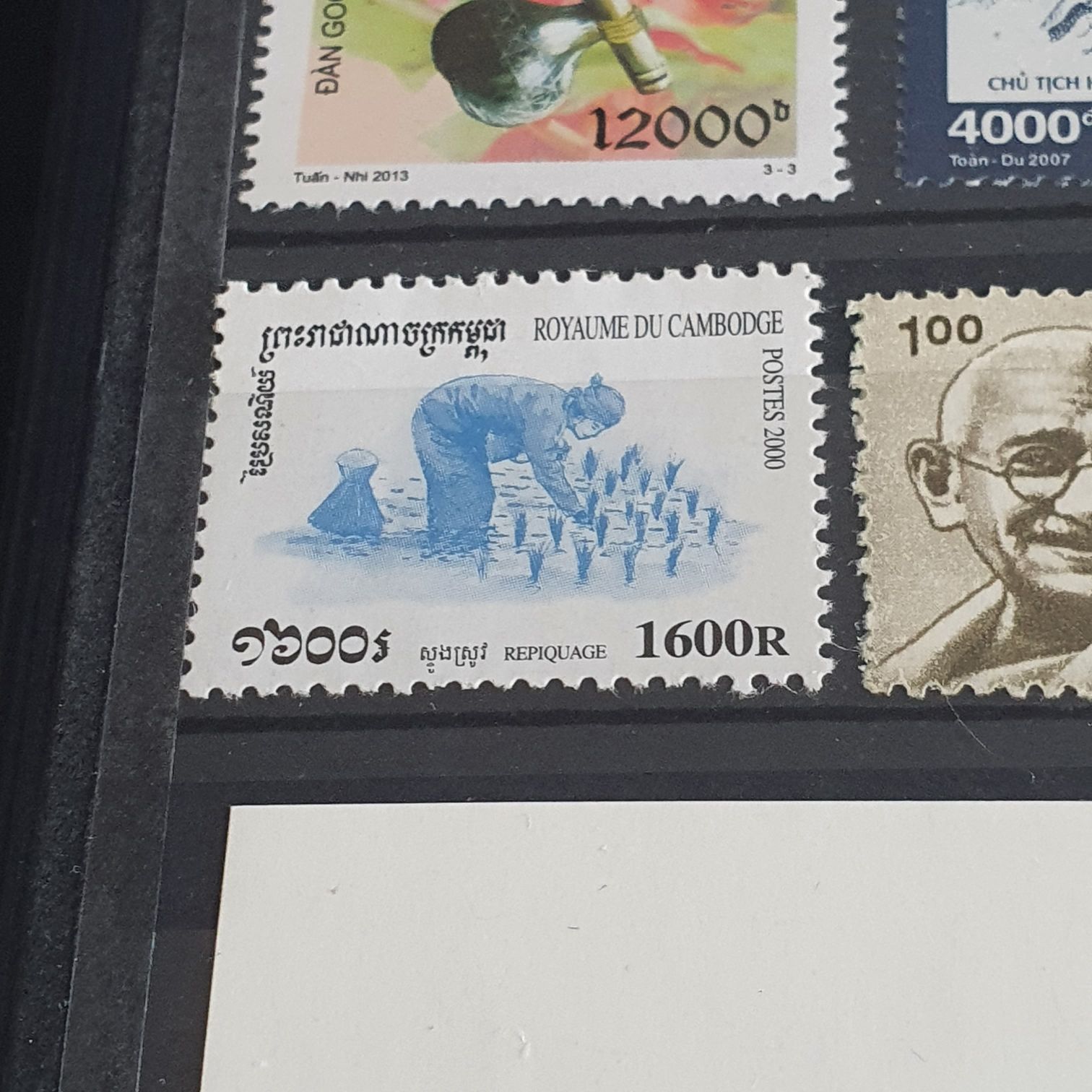 México Conserva Reptiles