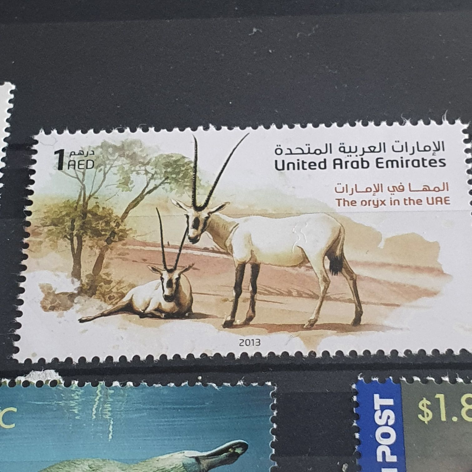 Centenario Del Canal De Aragon