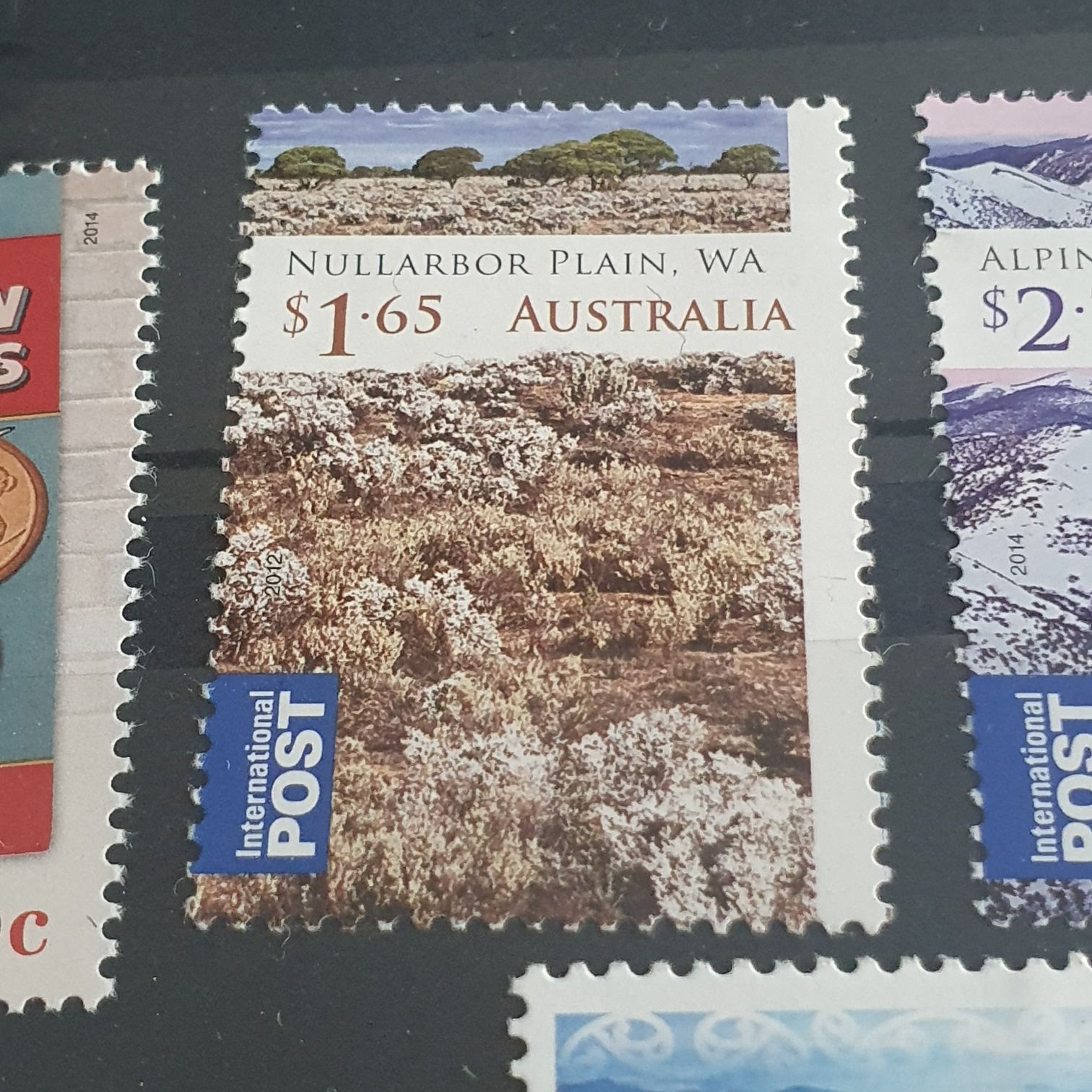 Father Of Grass National Happiness