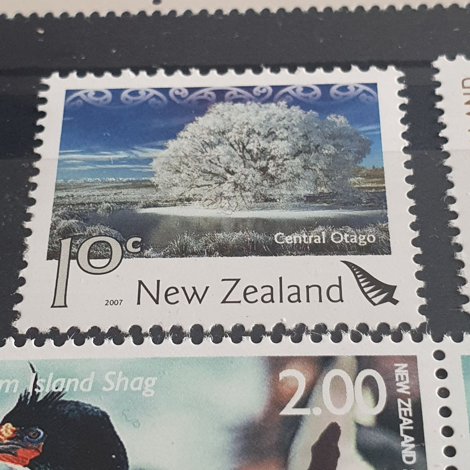 México Creación Popular