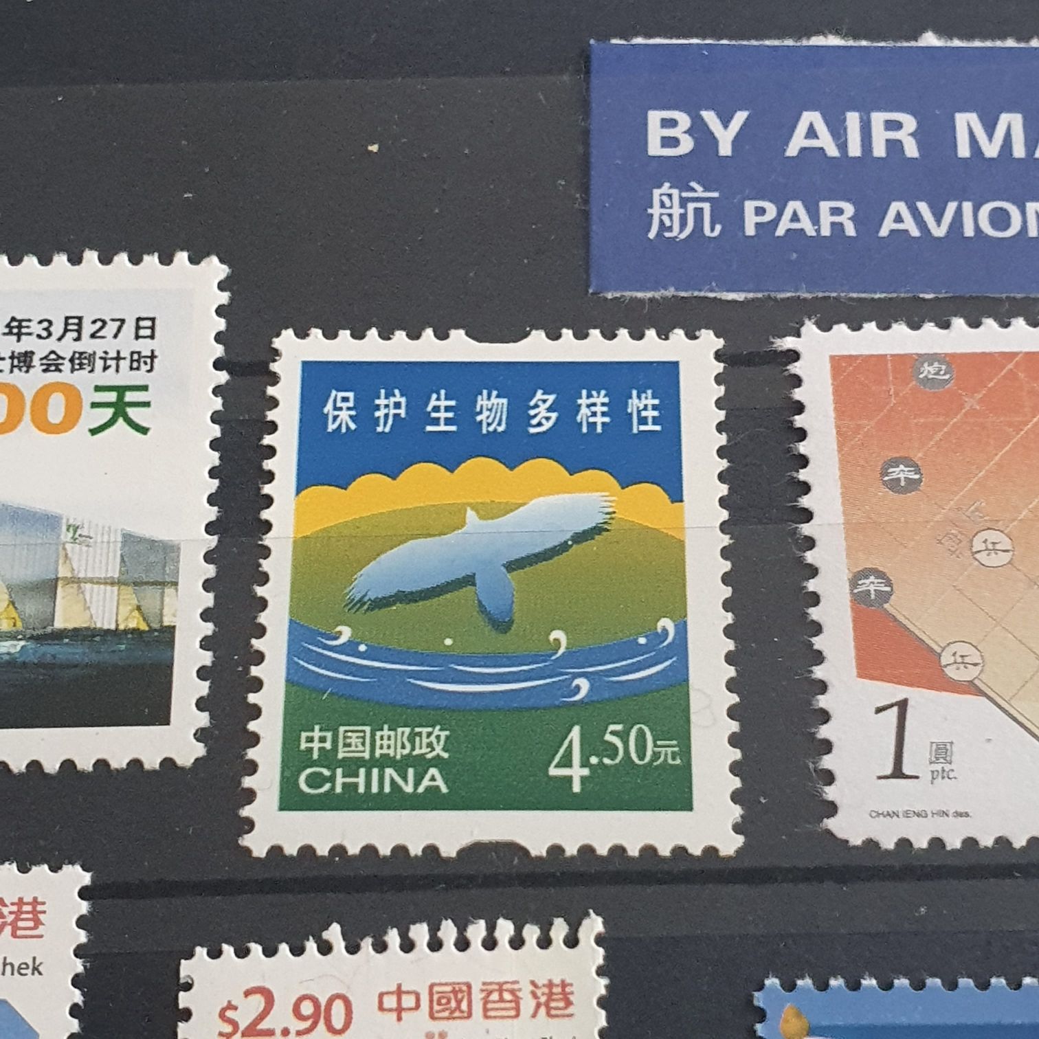 Valora Nuestra Cultura Popular Indigena