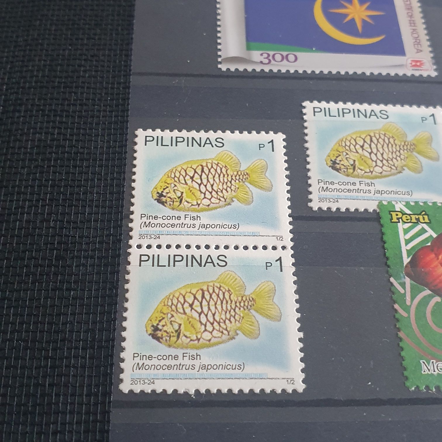 México Conserva Aves Costeras