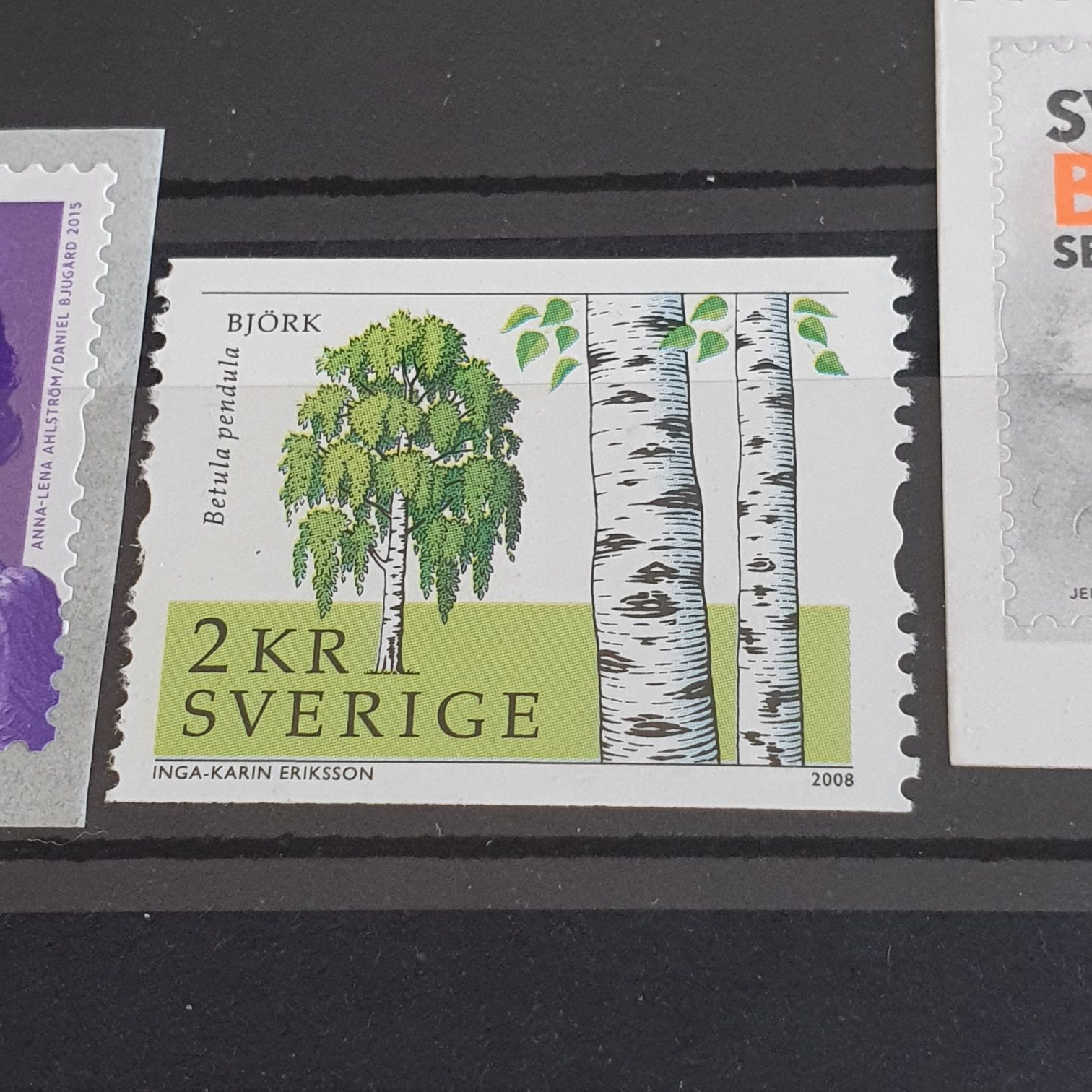 Todo Por Nuestros Derechos