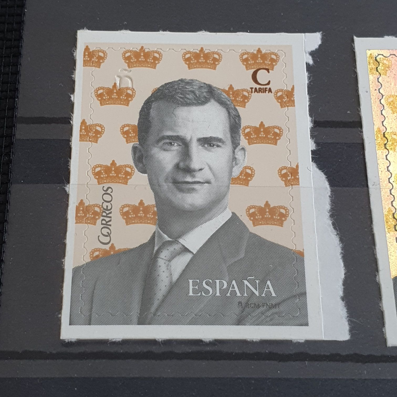 Daphane And Her Dogs