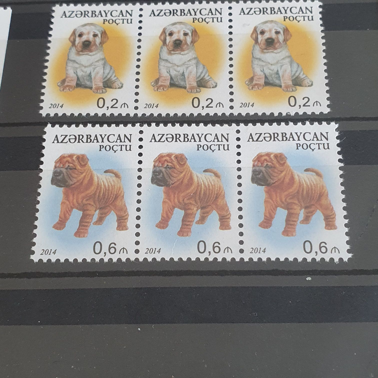 5 Crimson Crown Couple 