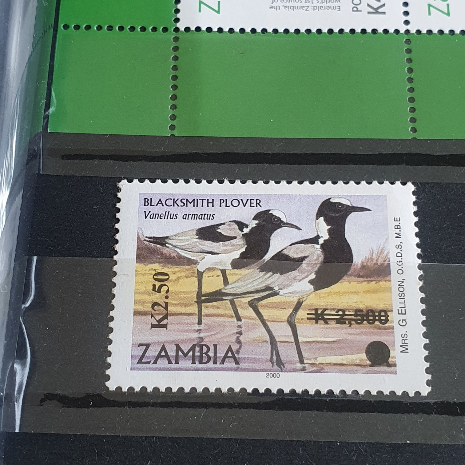 Día Internacional De La Mujer