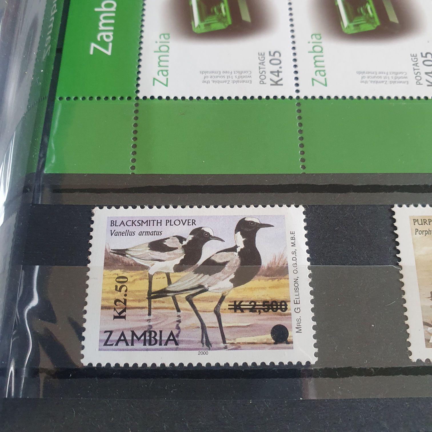 Blacksmith Plover  stamp collectible - Main Image 2