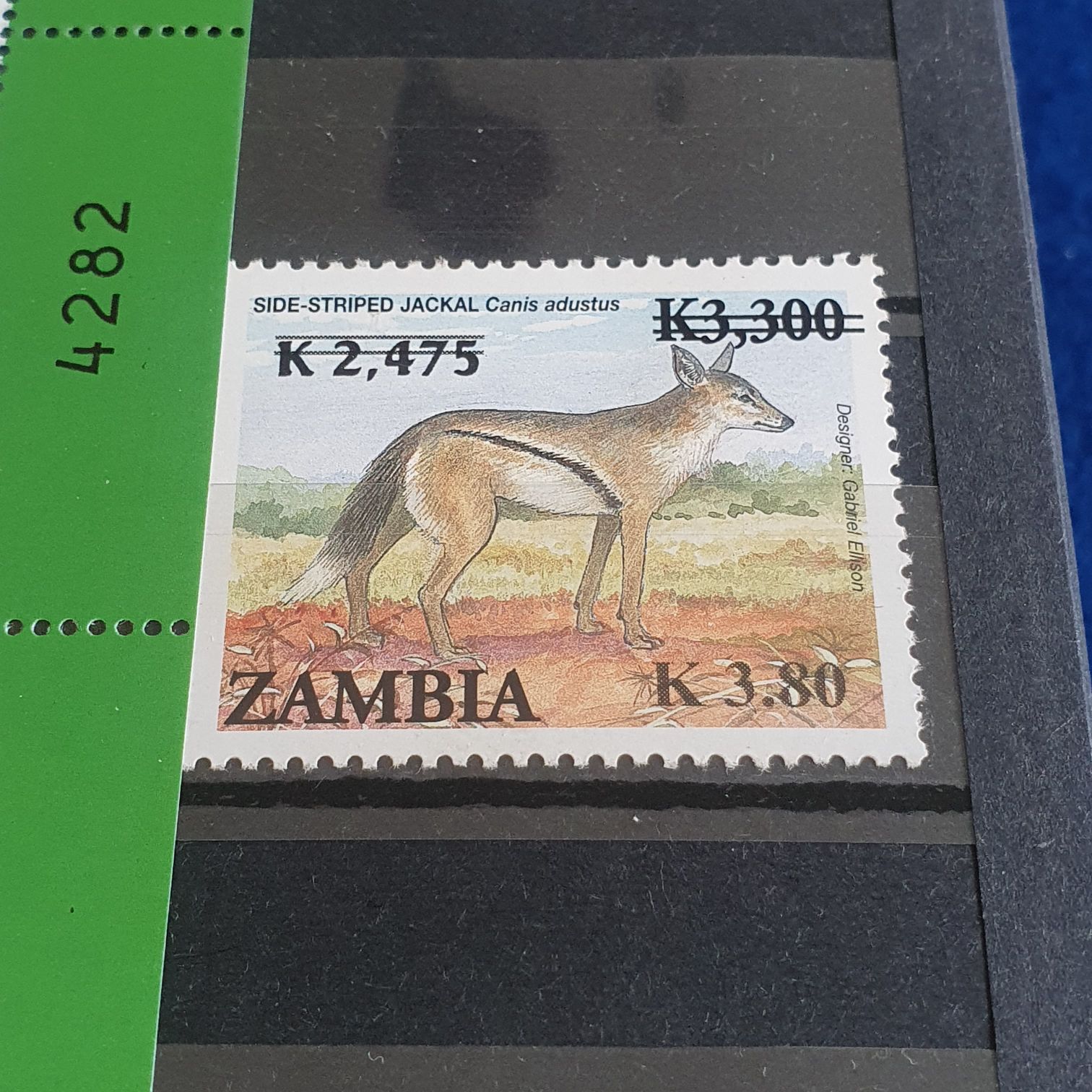Side- Striped Jackal  stamp collectible - Main Image 2