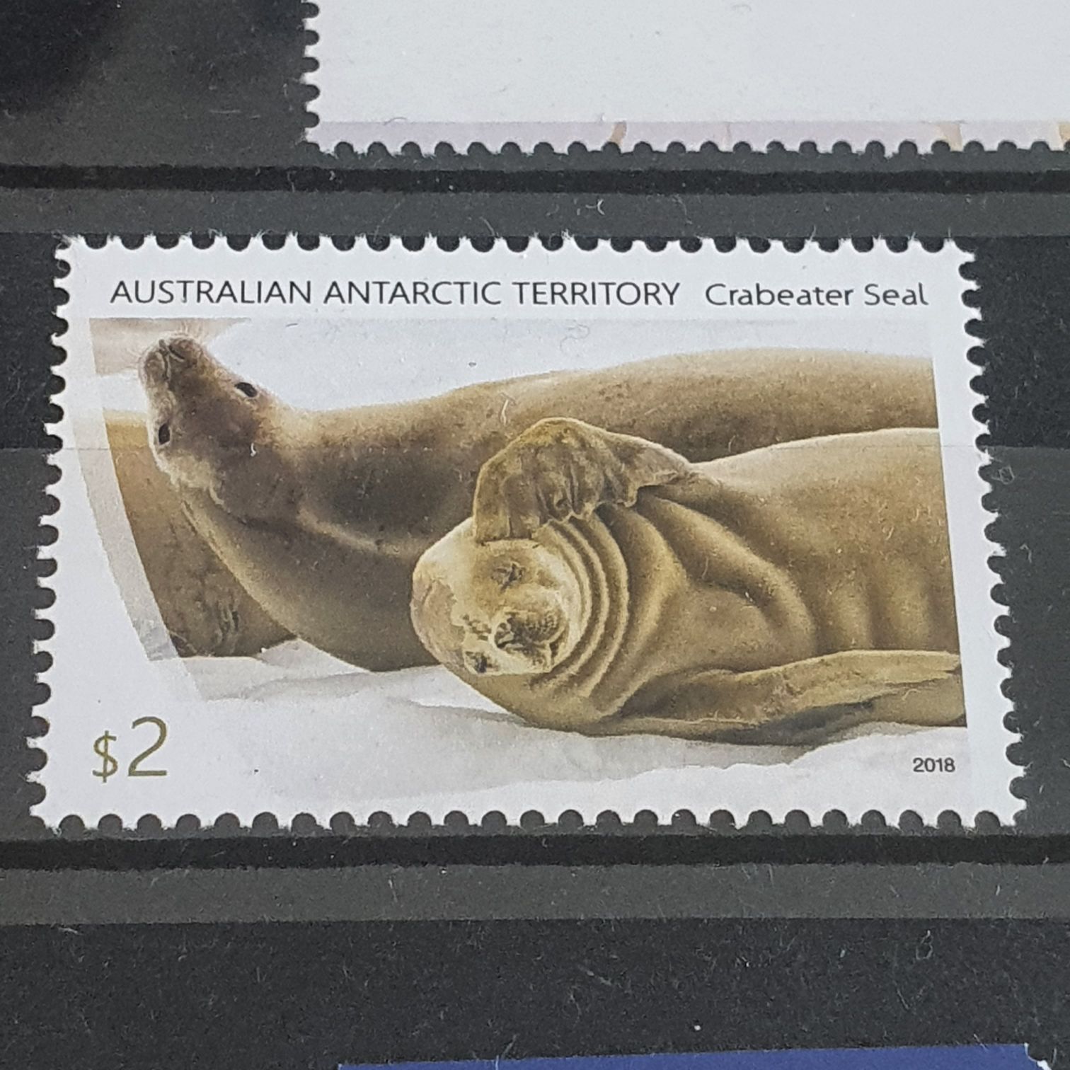 Australian Antarctic Territory  stamp collectible - Main Image 2