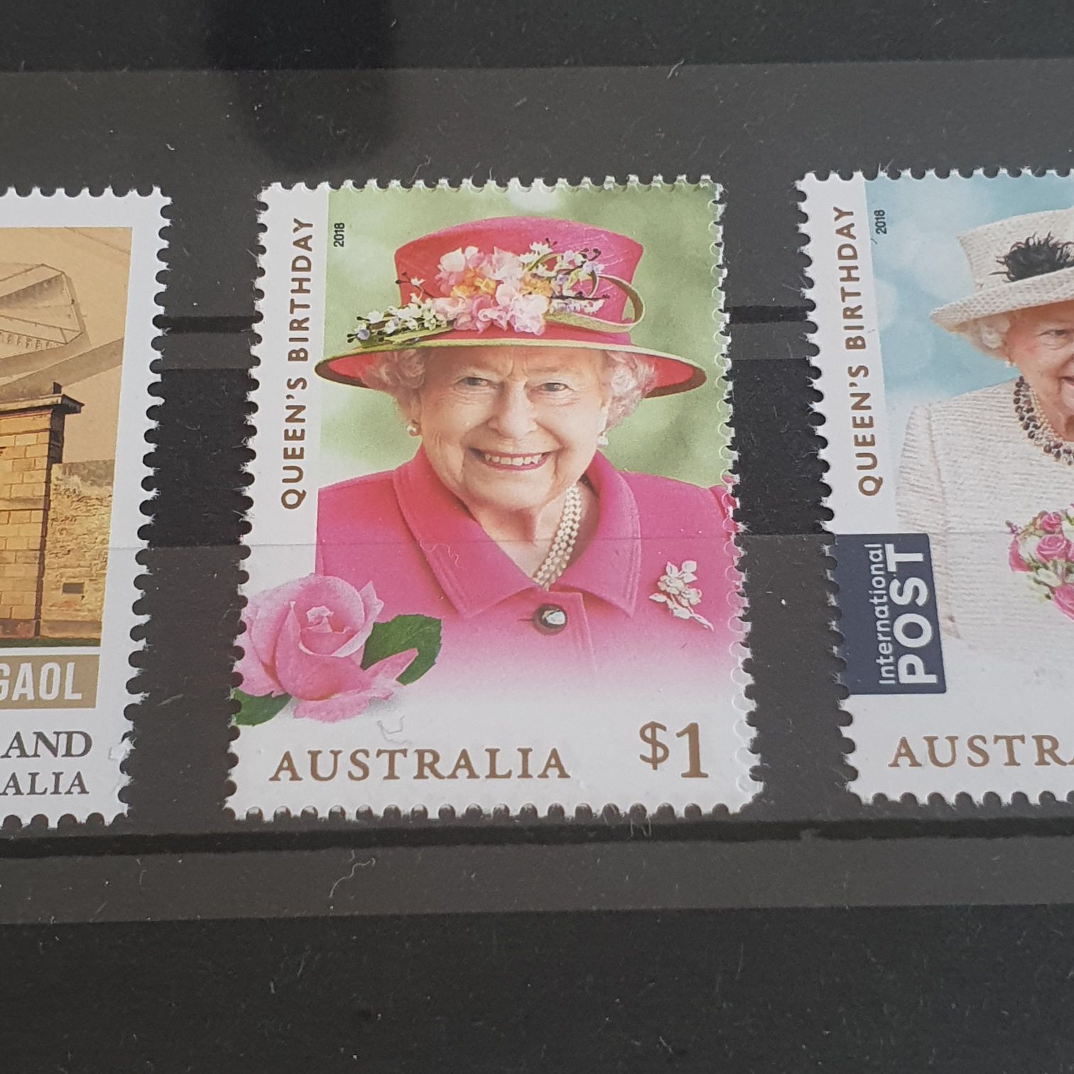 My Favorite Things Happy Hedgehogs