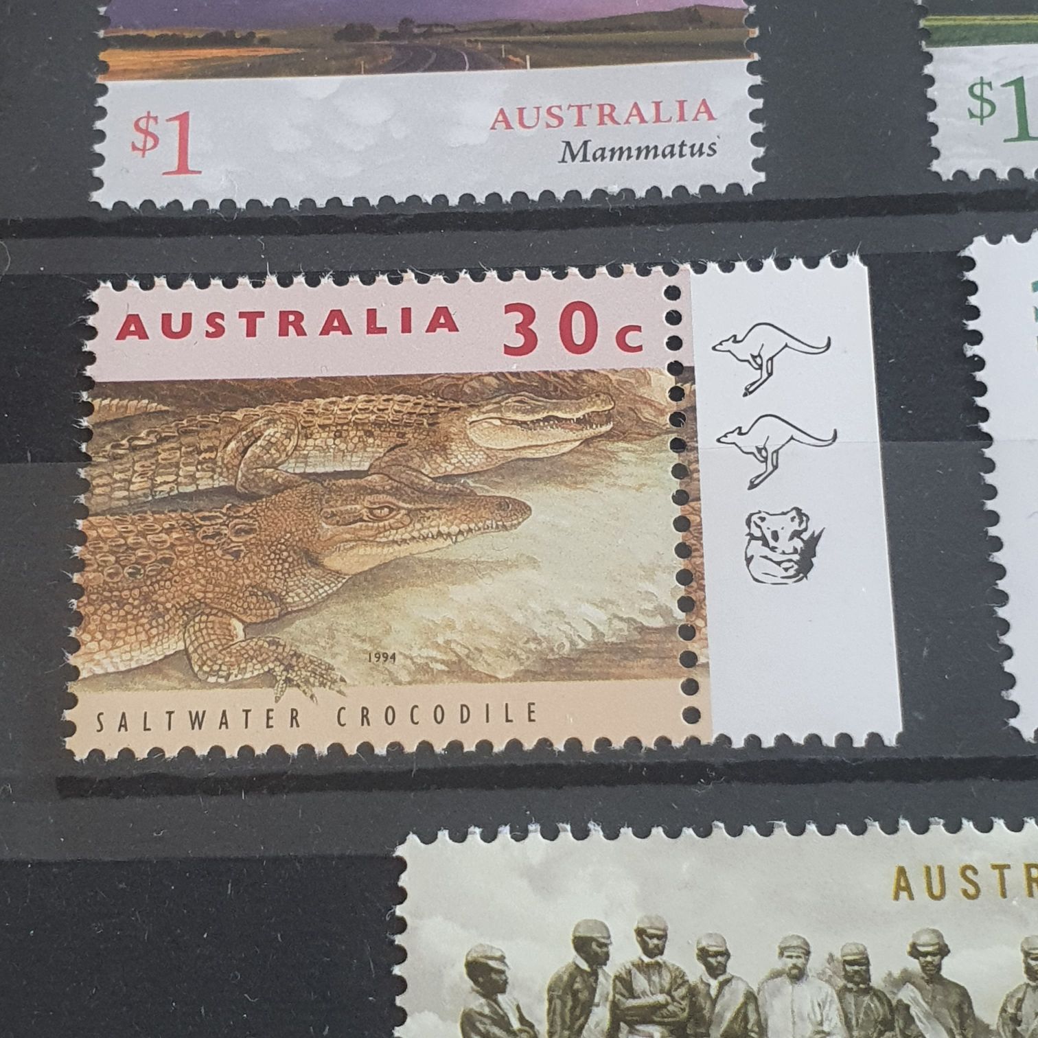 Christmas Morning Chicks