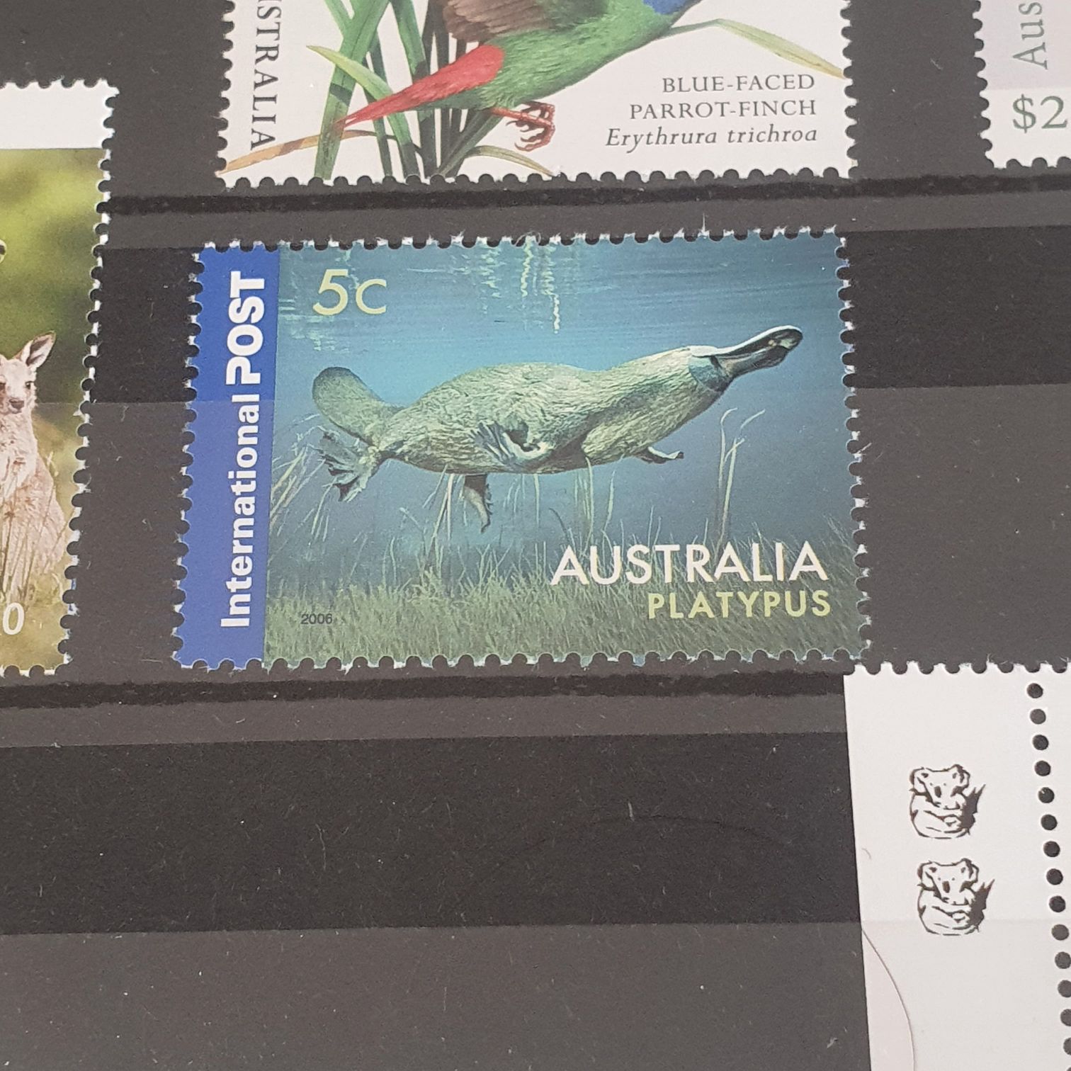 Platypus  stamp collectible - Main Image 2