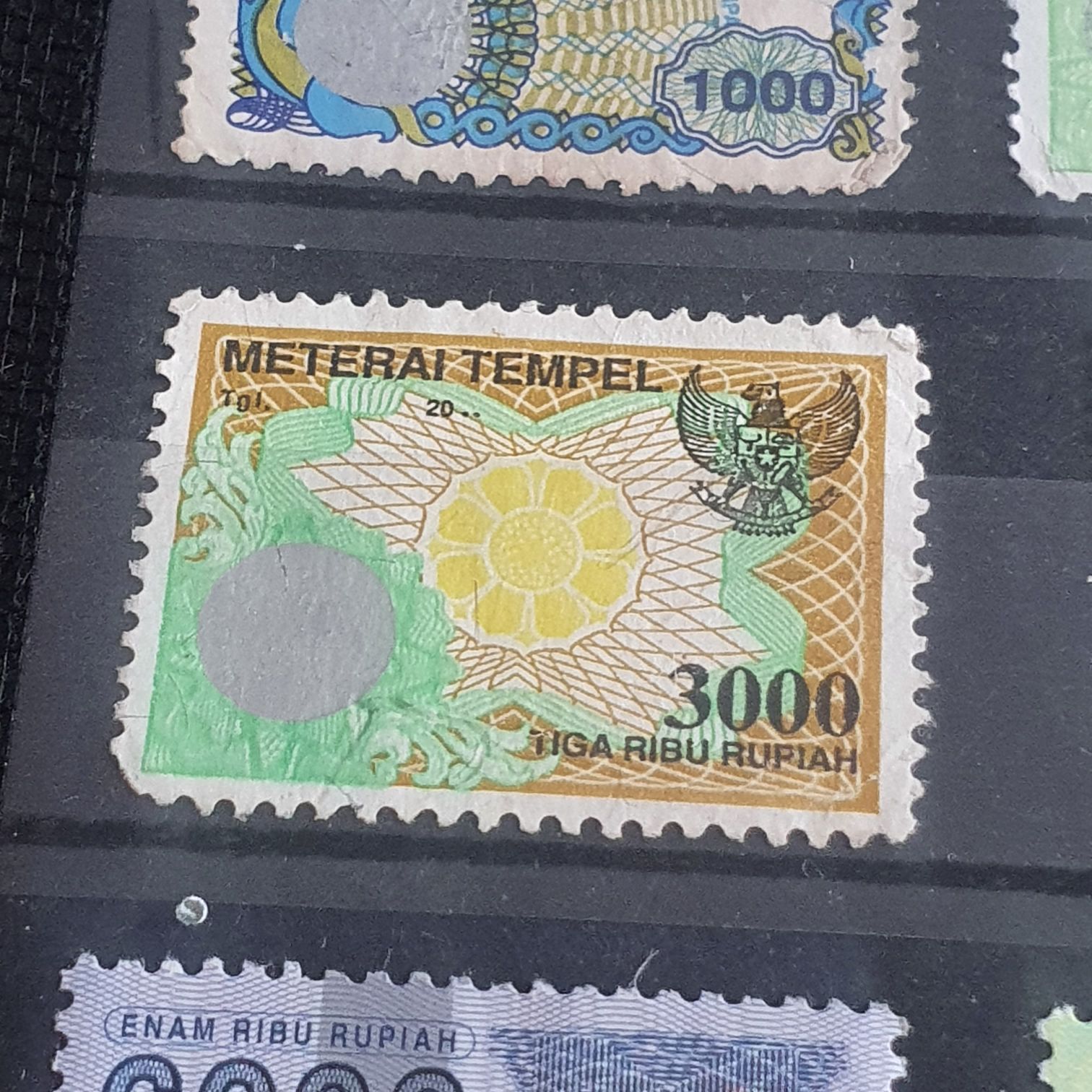 México Conserva Aves Costeras