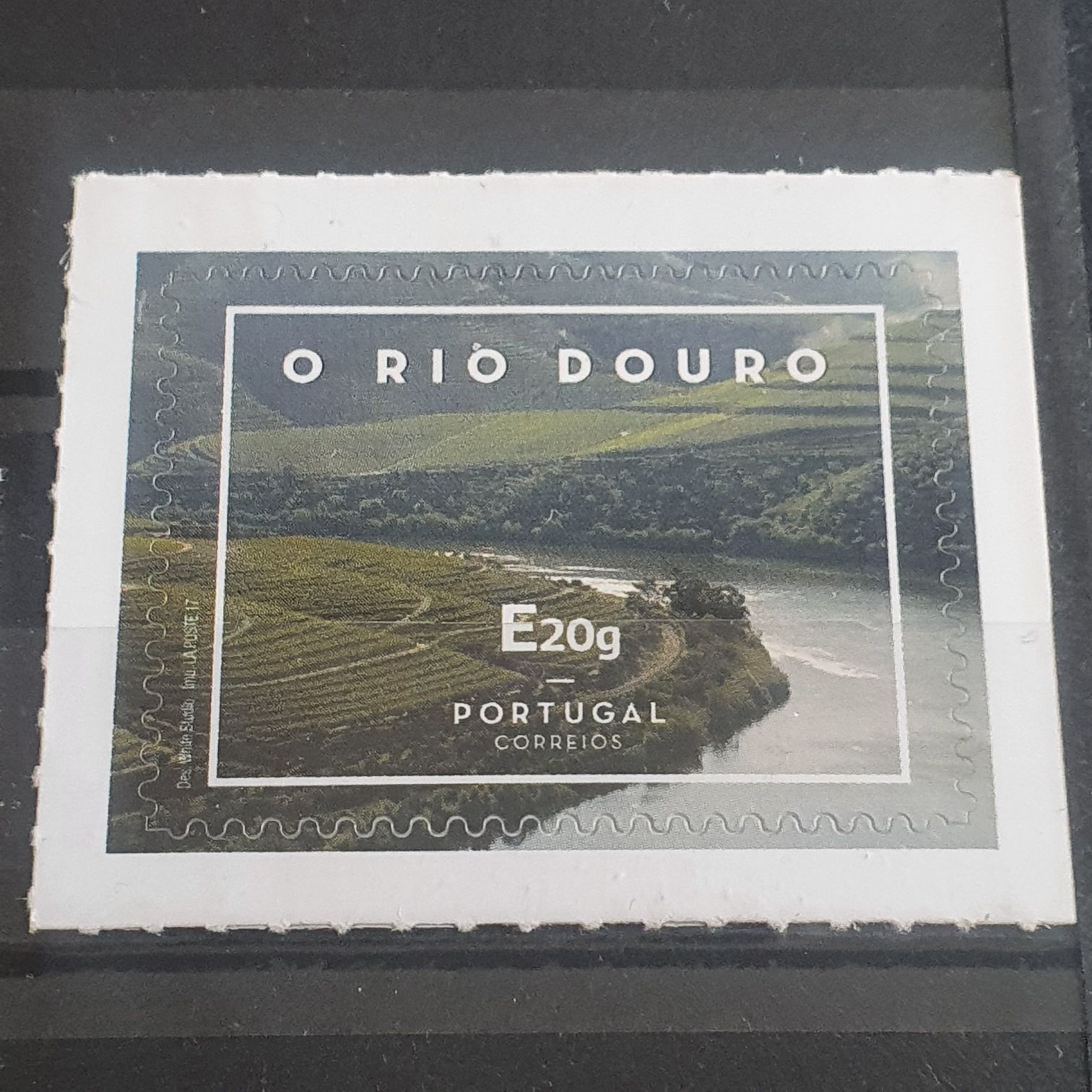 My Favorite Things Hog Heaven