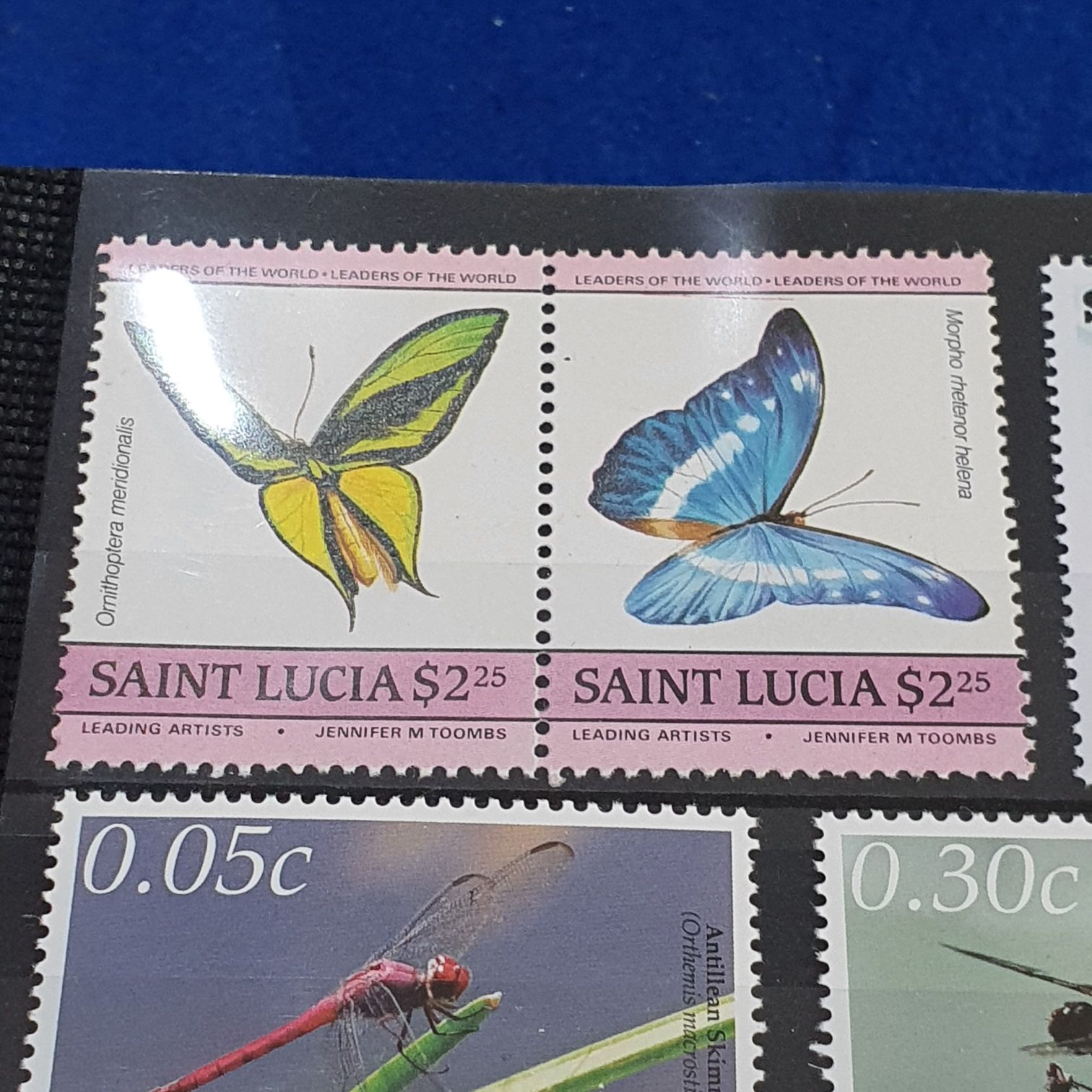 Ornithoptera Meridionalis  stamp collectible - Main Image 2