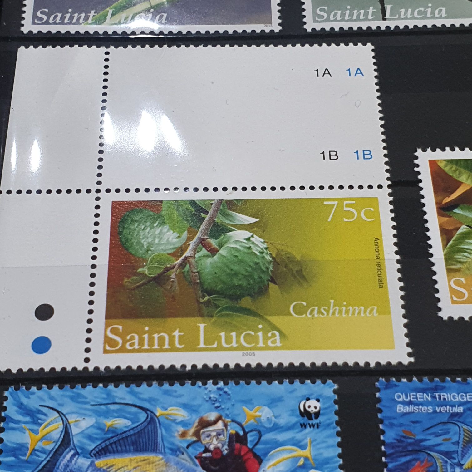 366.  5d Crimson Lake/Carmine Red Bible