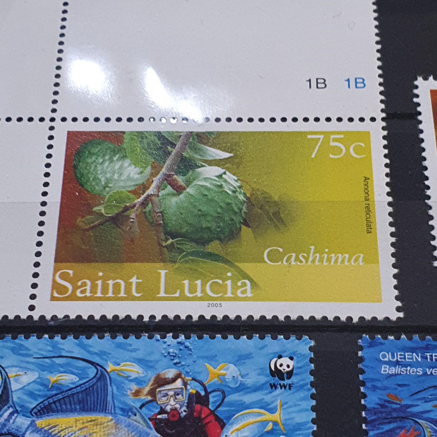 Cashima  stamp collectible - Main Image 2