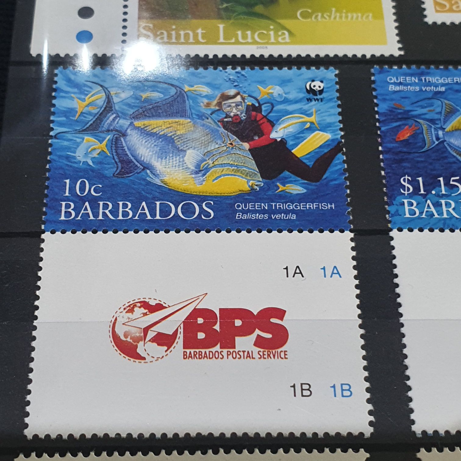 Multi/brown & Black Hargrave