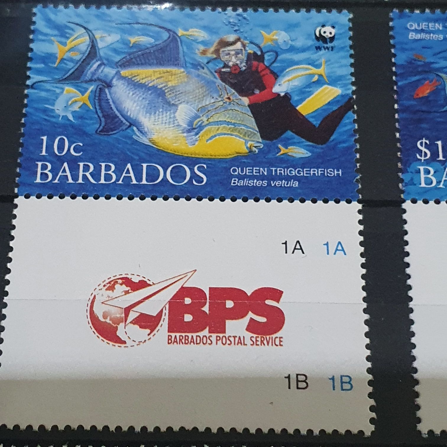 Queen Triggerfish  stamp collectible - Main Image 2