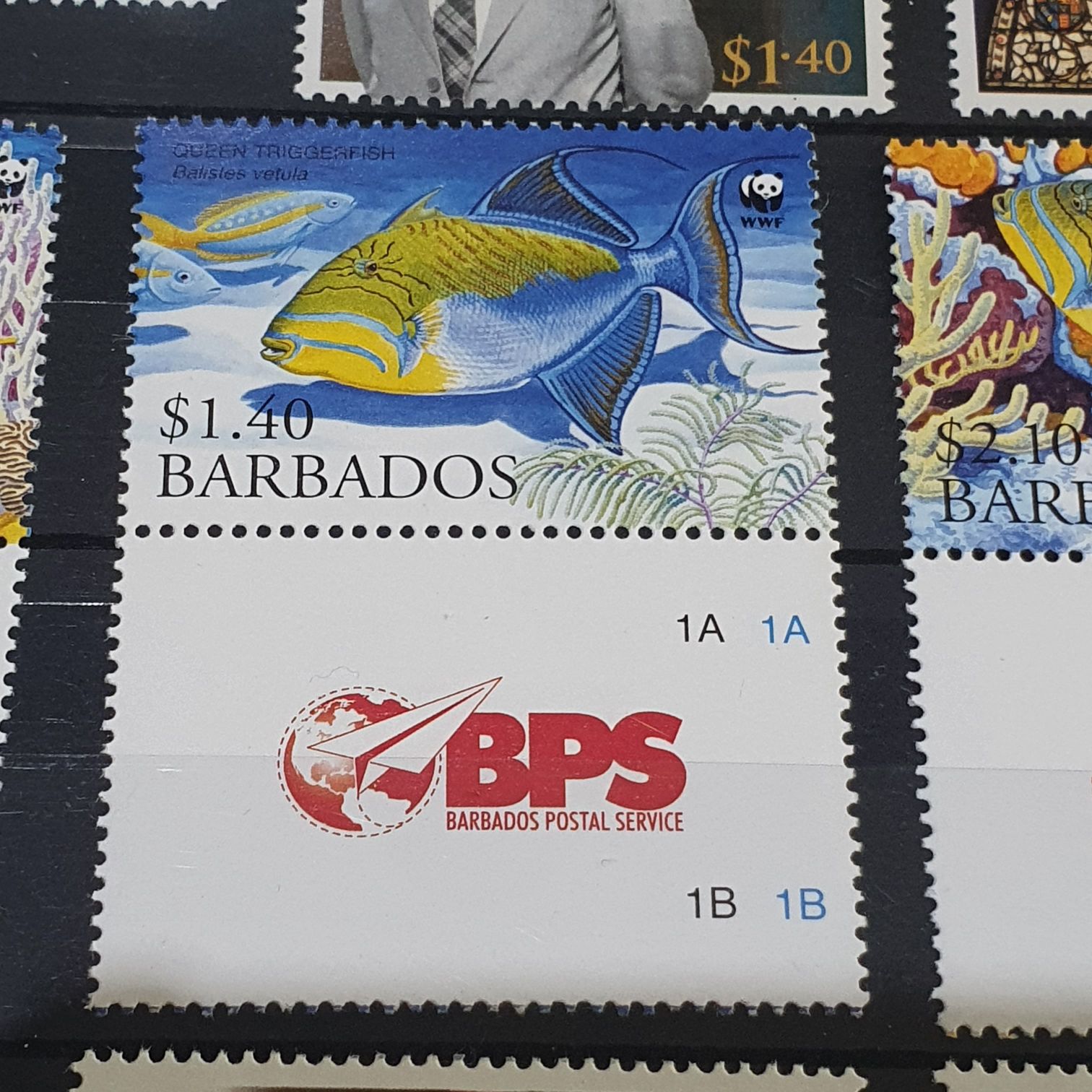 Queen Triggerfish  stamp collectible - Main Image 2