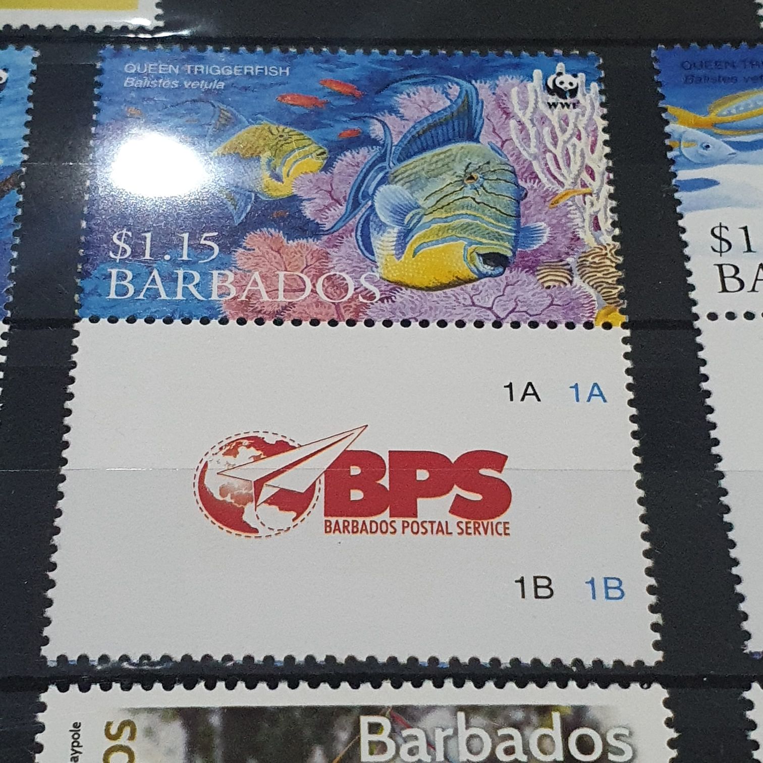 Todo Por Nuestros Derechos