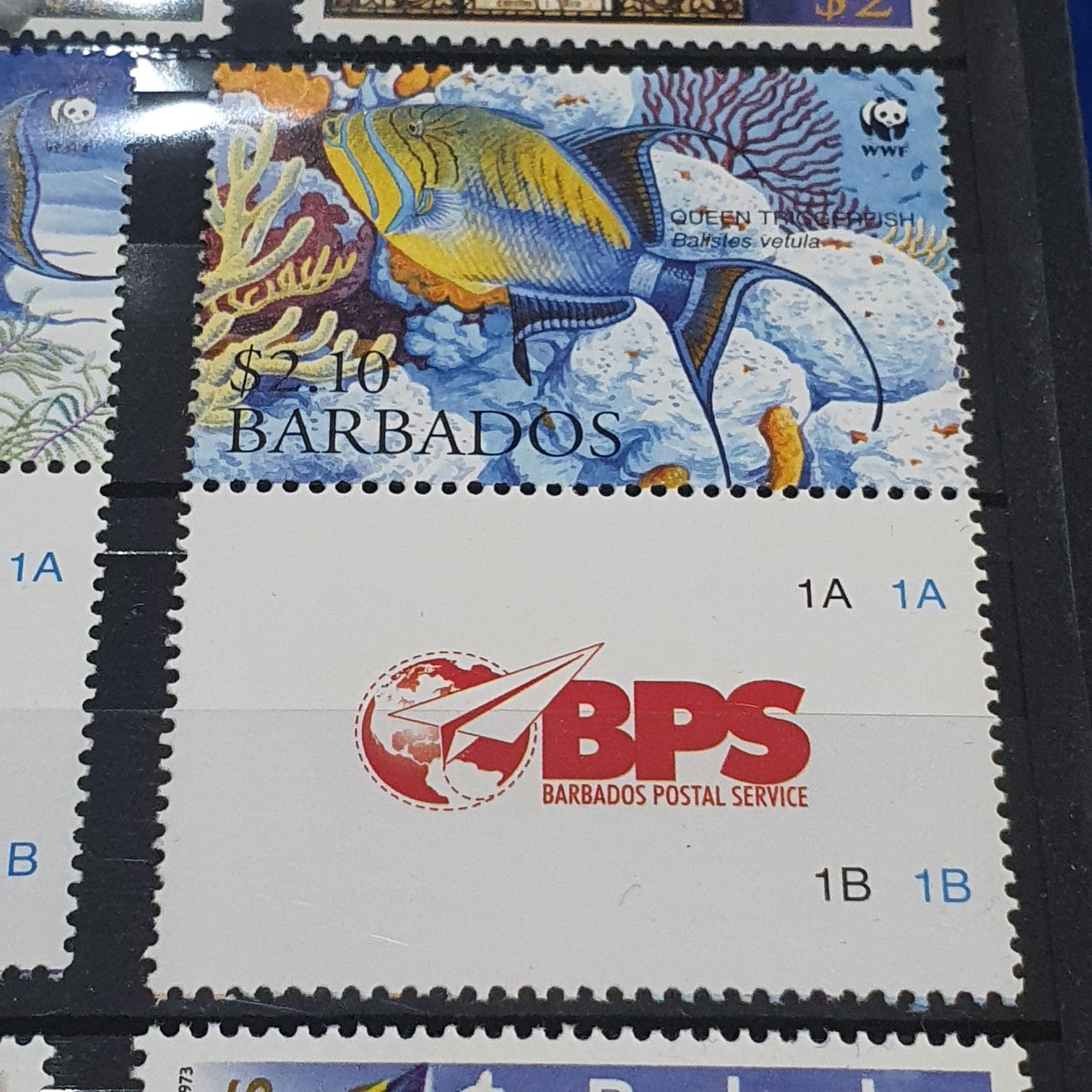 Queen Triggerfish  stamp collectible - Main Image 2