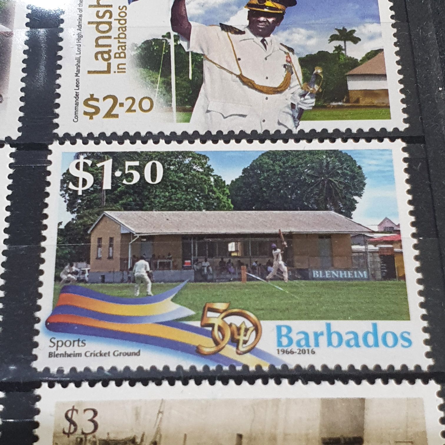 Cyannistws Caeruleus