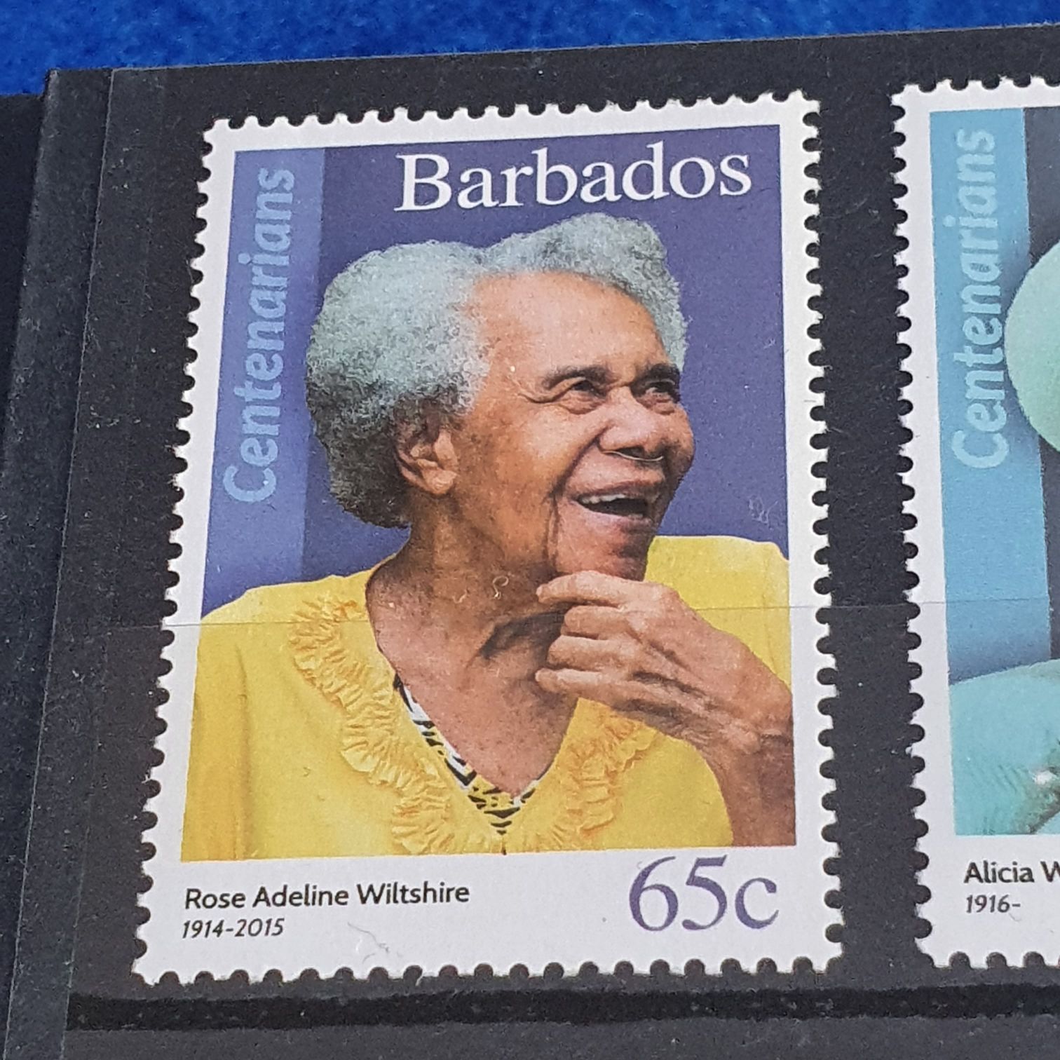 Elizabeth Craft Metal Die-planner Essentials 30 Wave Pocket