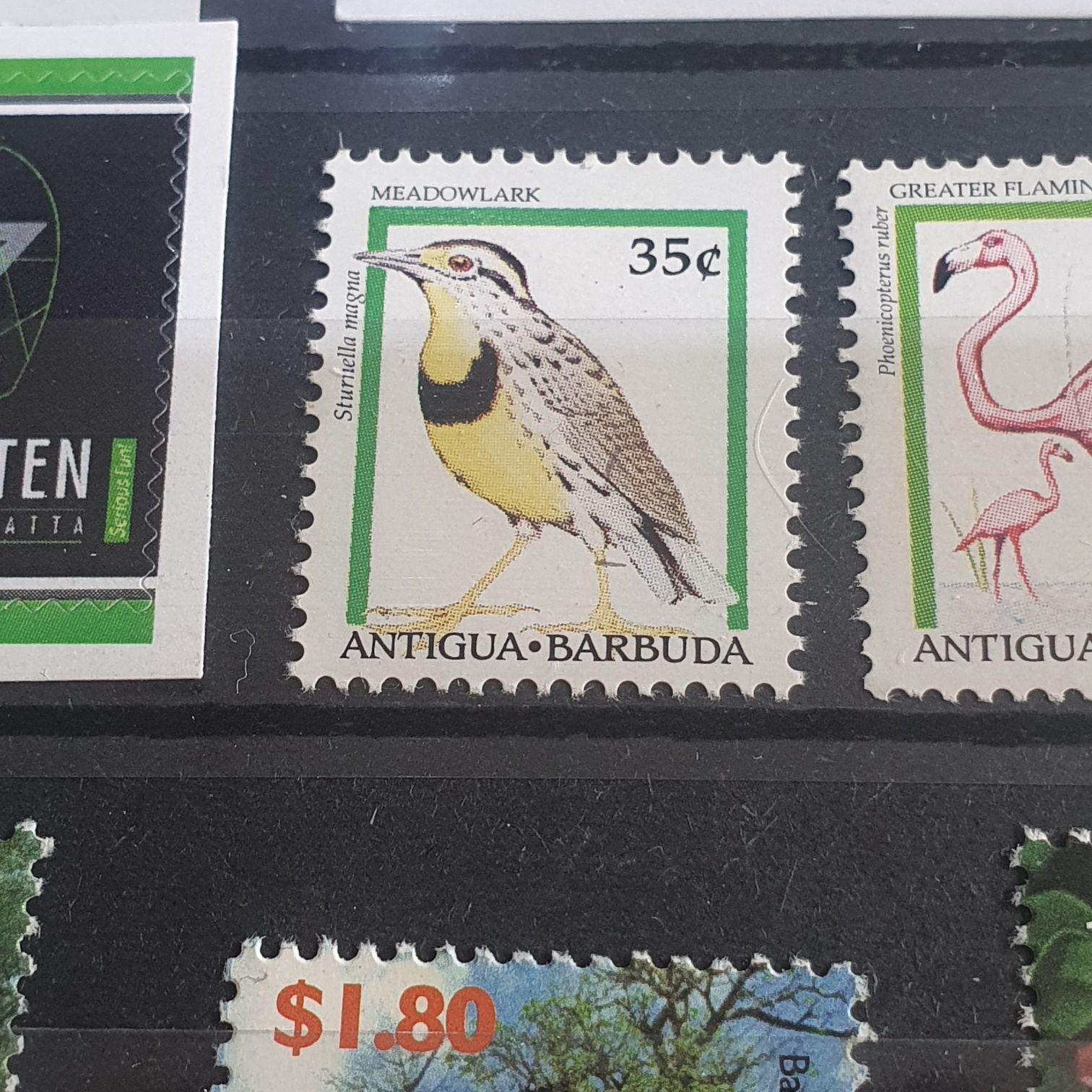 Meadowlark  stamp collectible - Main Image 2