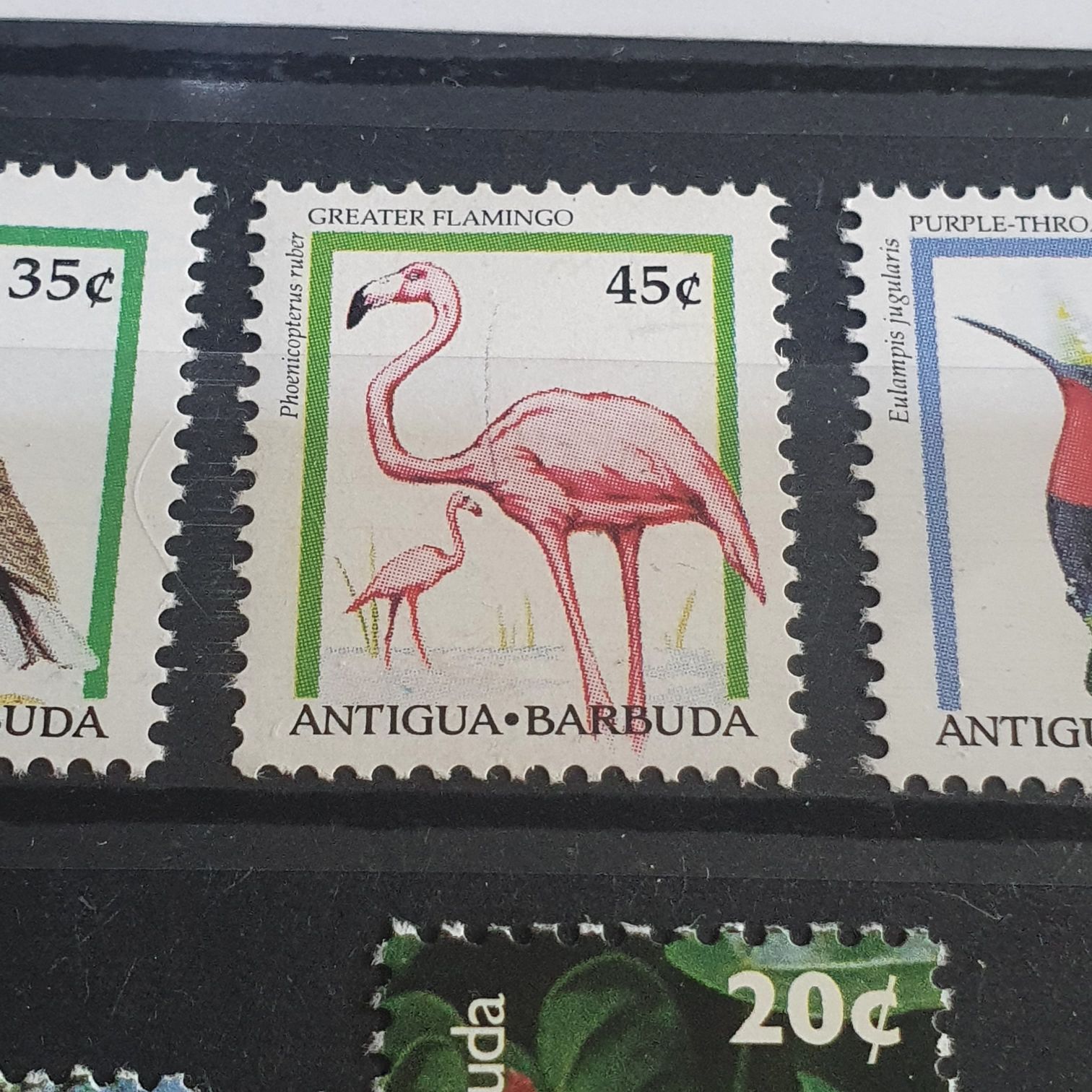 Creater Flamingo  stamp collectible - Main Image 2