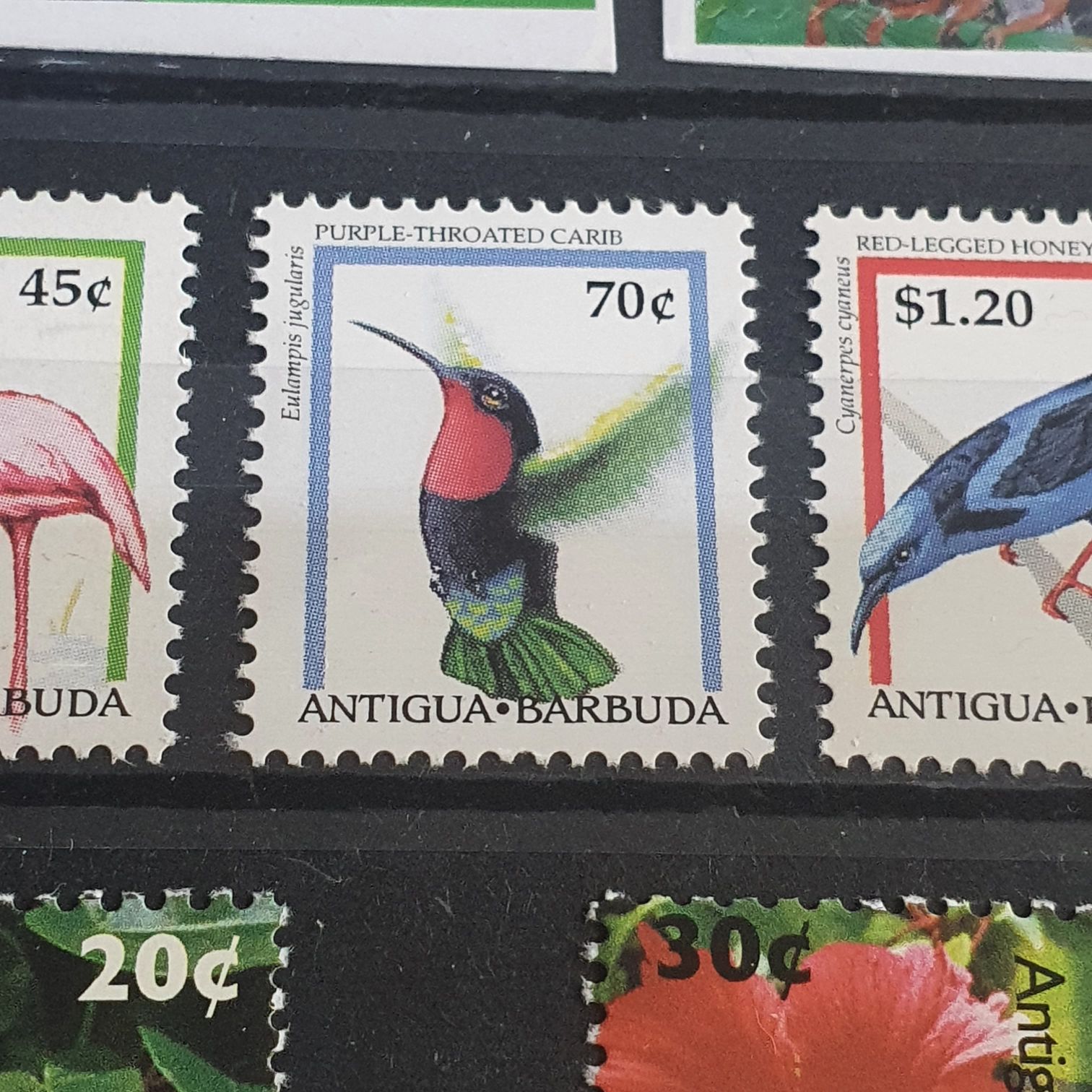 Purple Throated Carib  stamp collectible - Main Image 2