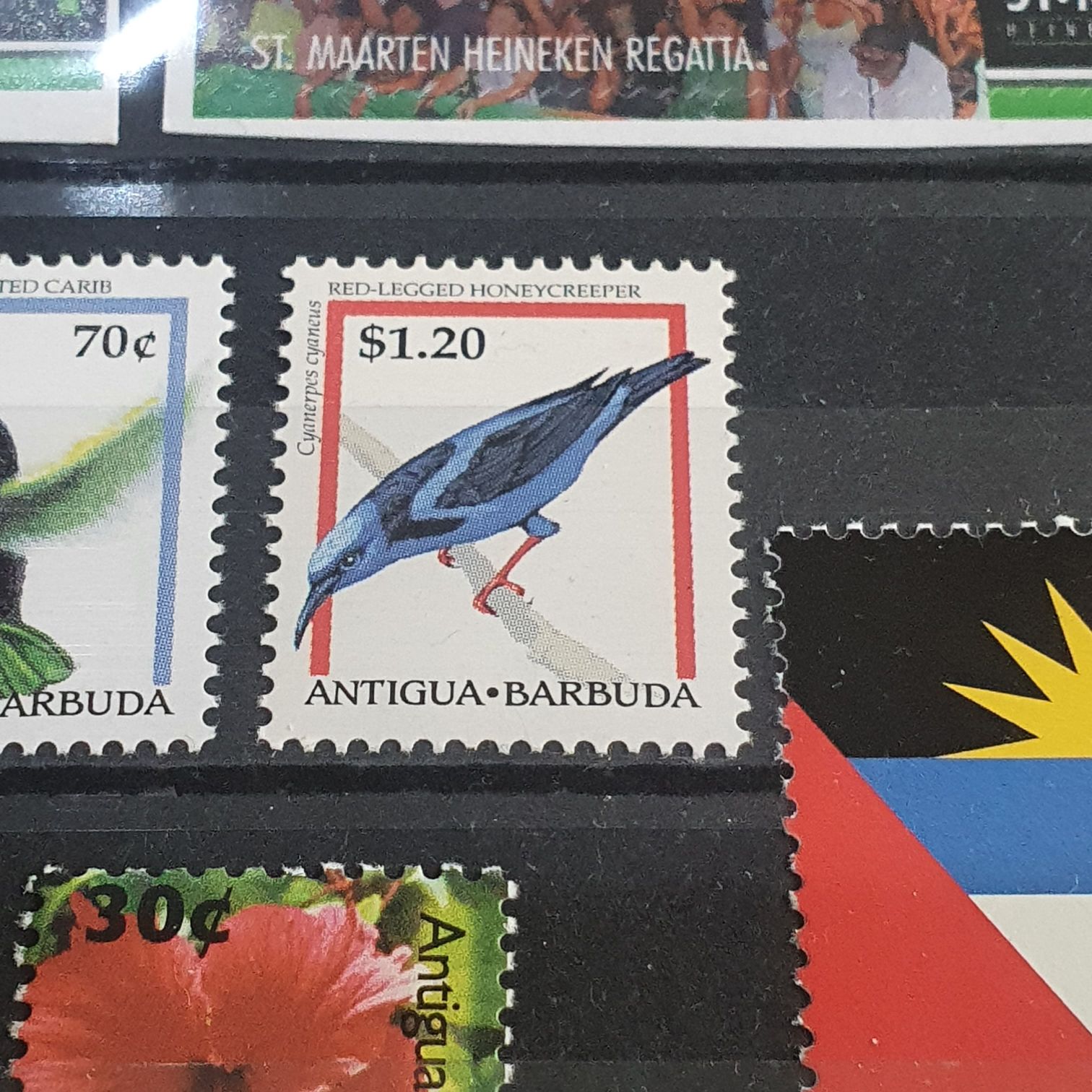 Red Legged Honey Creeper  stamp collectible - Main Image 2